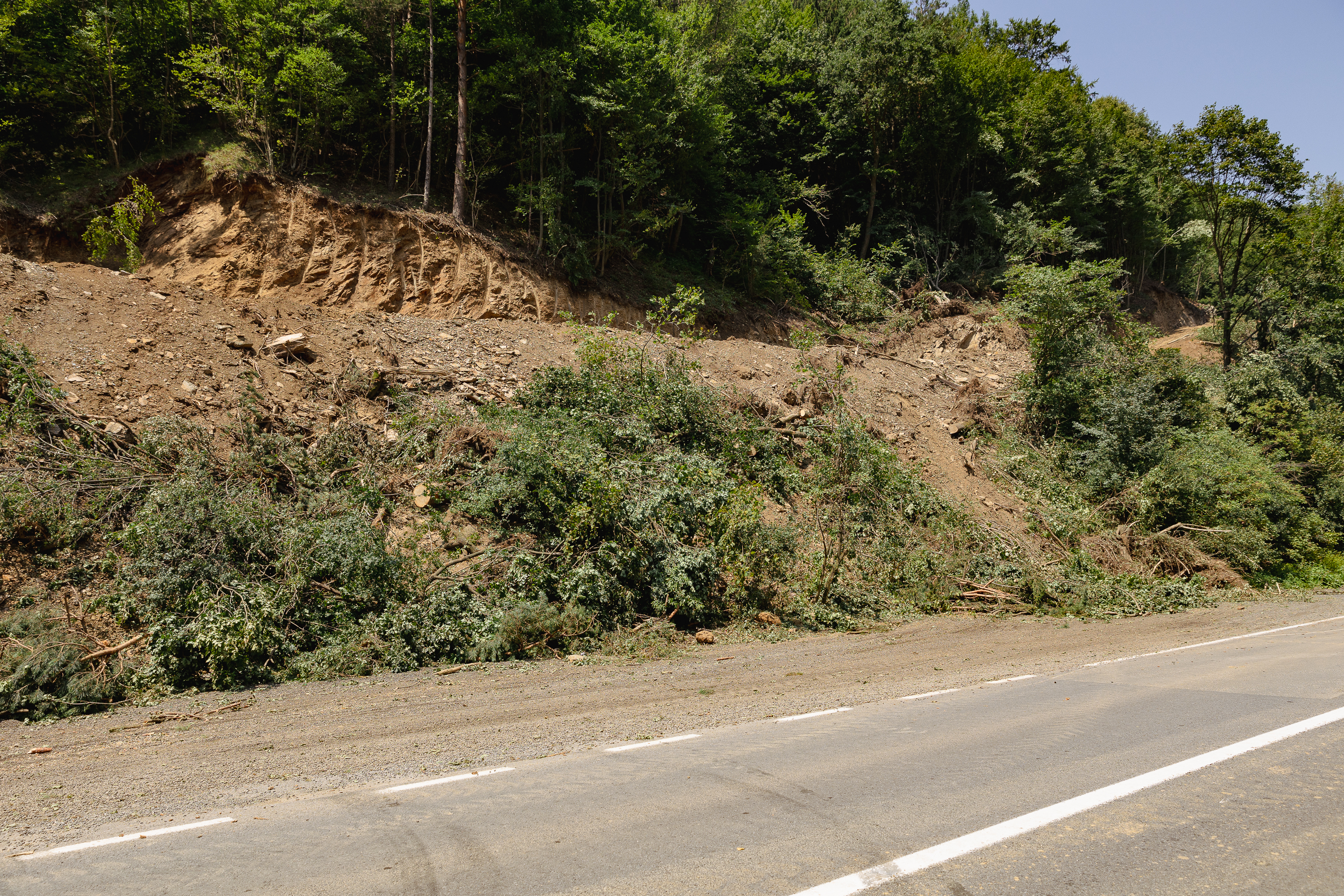 REPORTAJ Valea Oltului - viața după barieră. În lipsa traficului, natura își revine și nu prea, iar ministrul Grindeanu supraveghează cu drona progresul lucrărilor