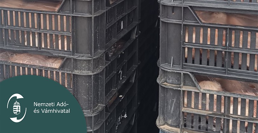 Gyomorforgató rakományra bukkantak a pénzügyőrök: ezt szállította az M5-ösön a kisteherautó - fotók