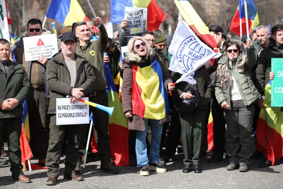 Silvicultorii protestează la București față de tăierea salariilor și amenință cu greva generală