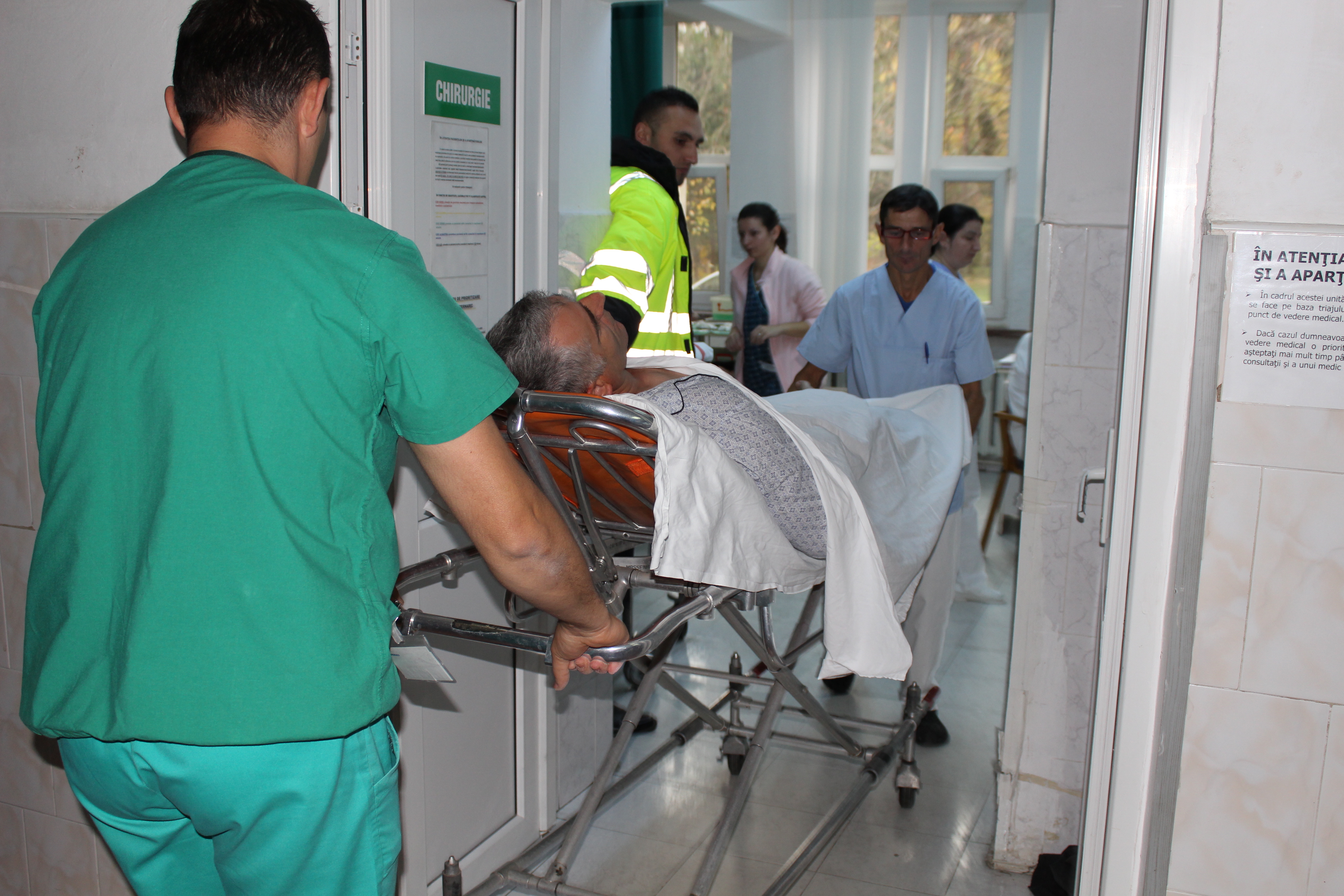 UPDATE: Adolescentă de 14 ani și un bărbat, atacați de urs într-un cartier din Făgăraș. Declarații ale unor martori la atac | VIDEO