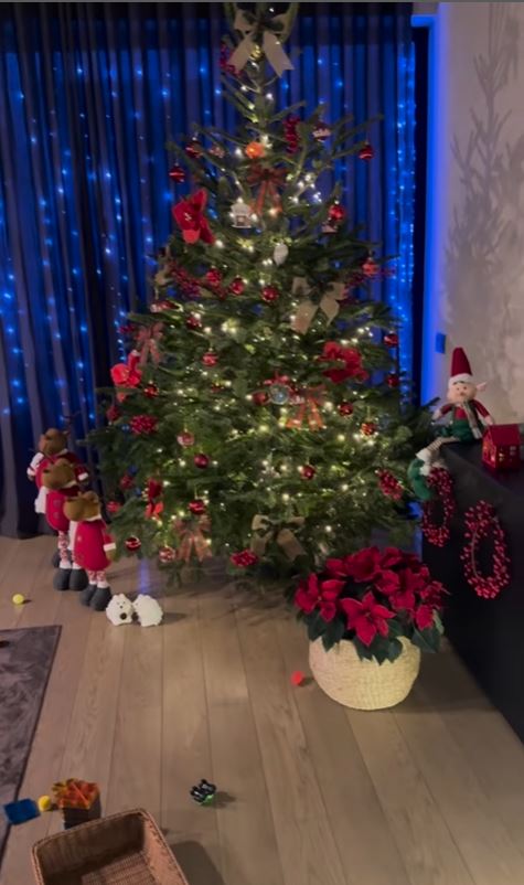 Cum arată casa Adelei Popescu și a lui Radu Vâlcan, după ce a fost decorată de Crăciun: „Am împodobit bradul”