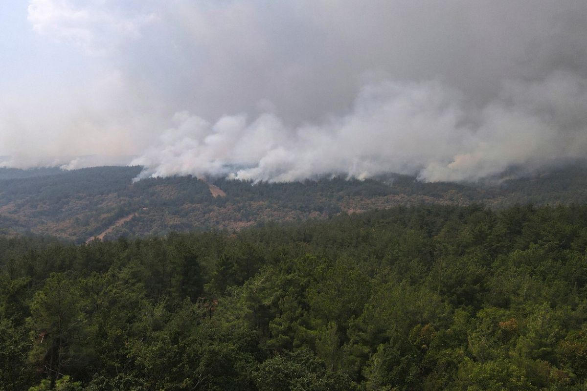 Grecia trimite încă 100 de pompieri să intervină la incendiul din nord-estul țării care arde de 13 zile