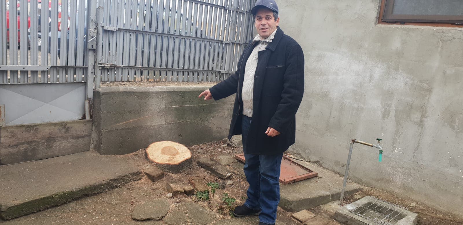 VIDEO&FOTO/ Bradul de Crăciun de la Buzău, donat de un localnic nevoit să-l taie: "Când s-au apropiat cu drujba de el, mi-au dat lacrimile"