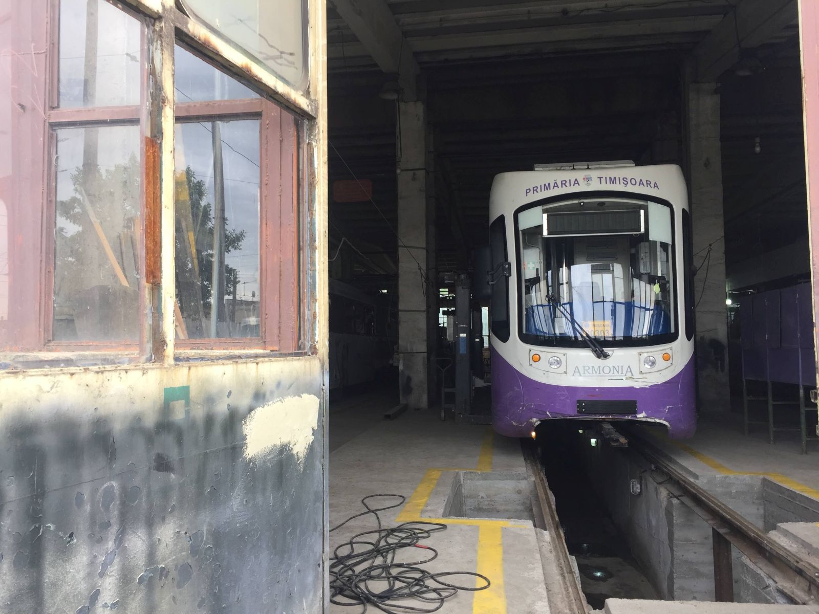 ANCHETĂ/ Ștrand ca centru social și mulți șefi la Societatea de Transport Public Timișoara, în timp ce în tramvaie plouă peste călători - FOTO
