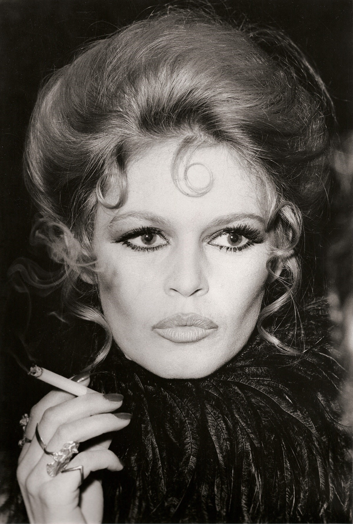 Brigitte Bardot și relația complicată cu fiul ei: „Mai bine aveam un câine decât un copil”. Cine e Nicolas-Jacques Charrier