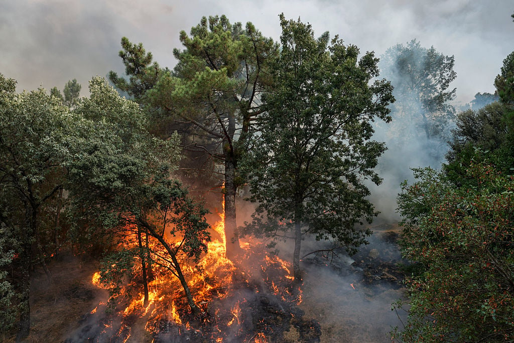 Cât de sigur este să călătorești în Franța sau Spania acum