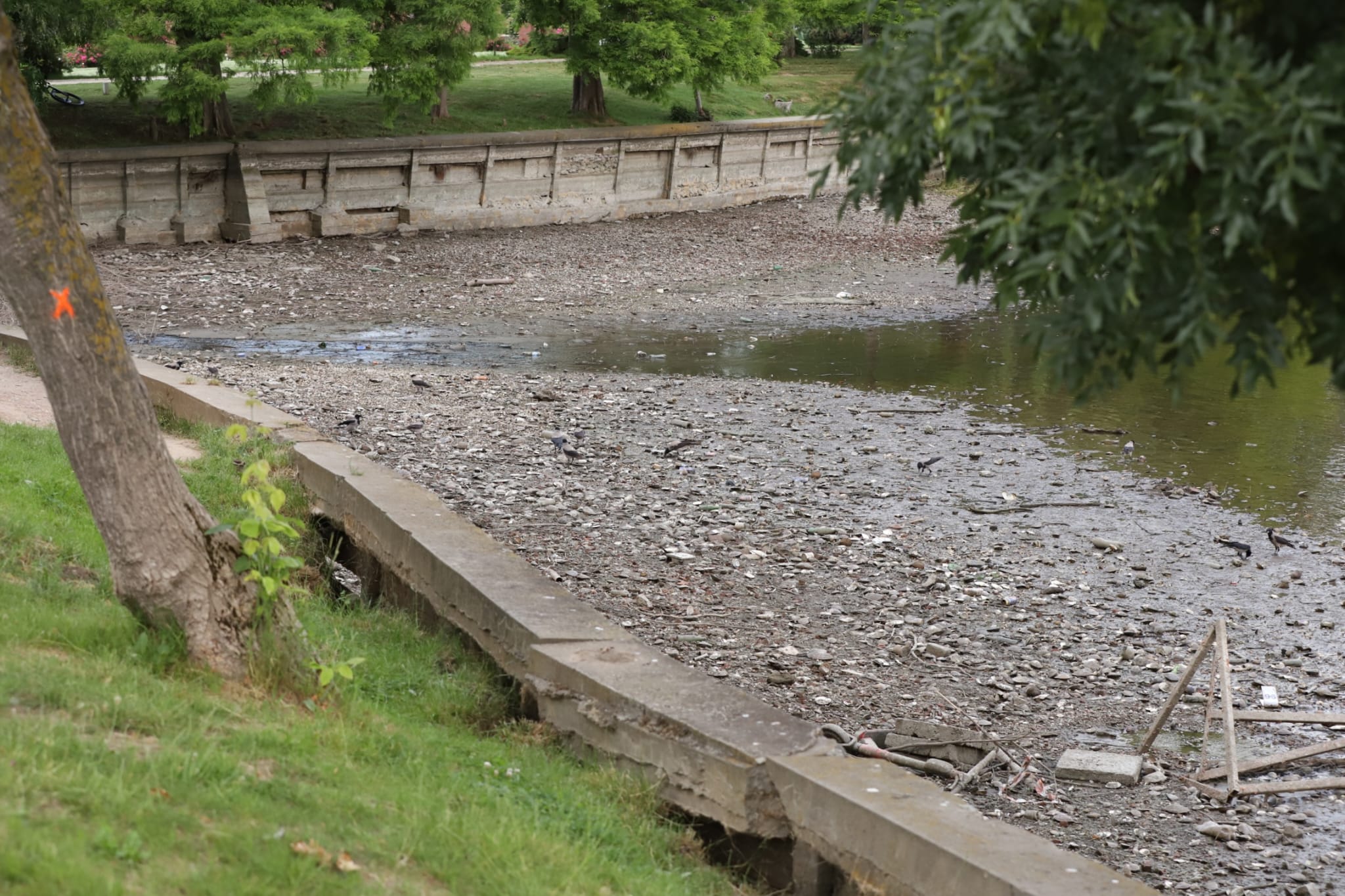 Cum arată lacul golit din parcul Herăstrău din București. Trotinete și scaune, printre obiectele găsite pe fundul lacului