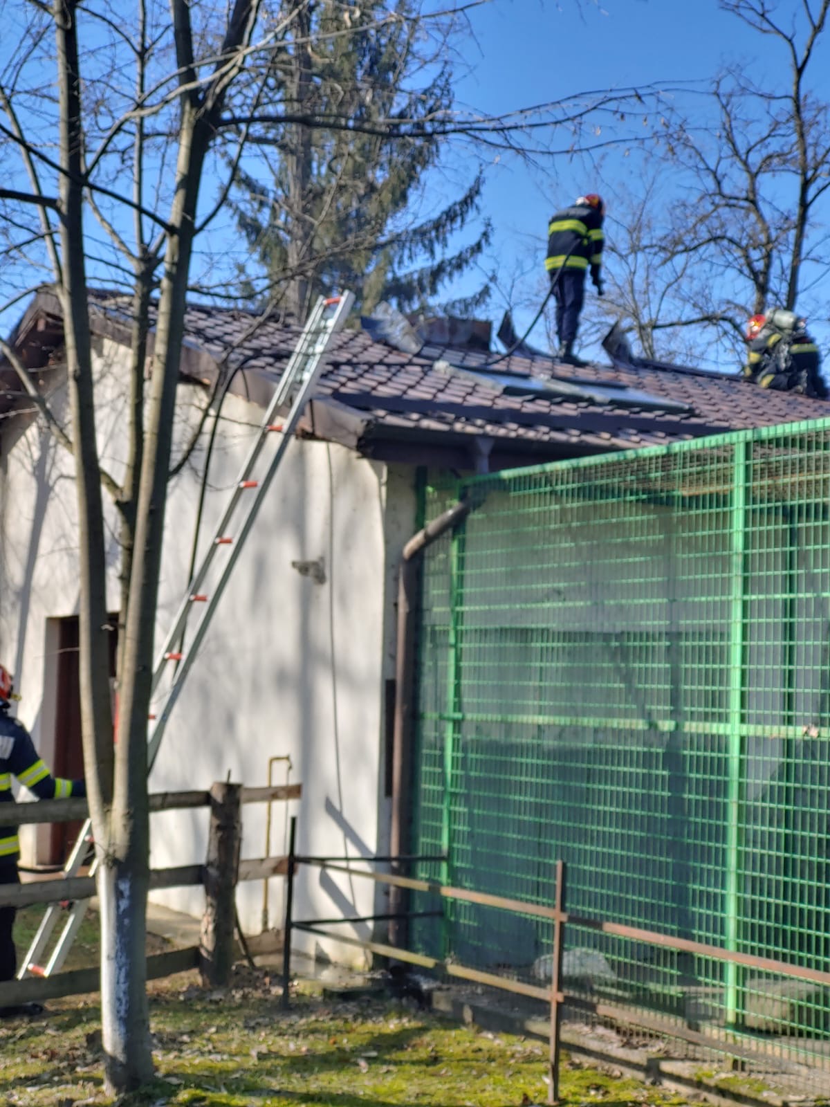 Incendiu la Grădina Zoologică din Râmnicu Vâlcea, la pavilionul unde sunt maimuțele. Animalele au fost evacuate
