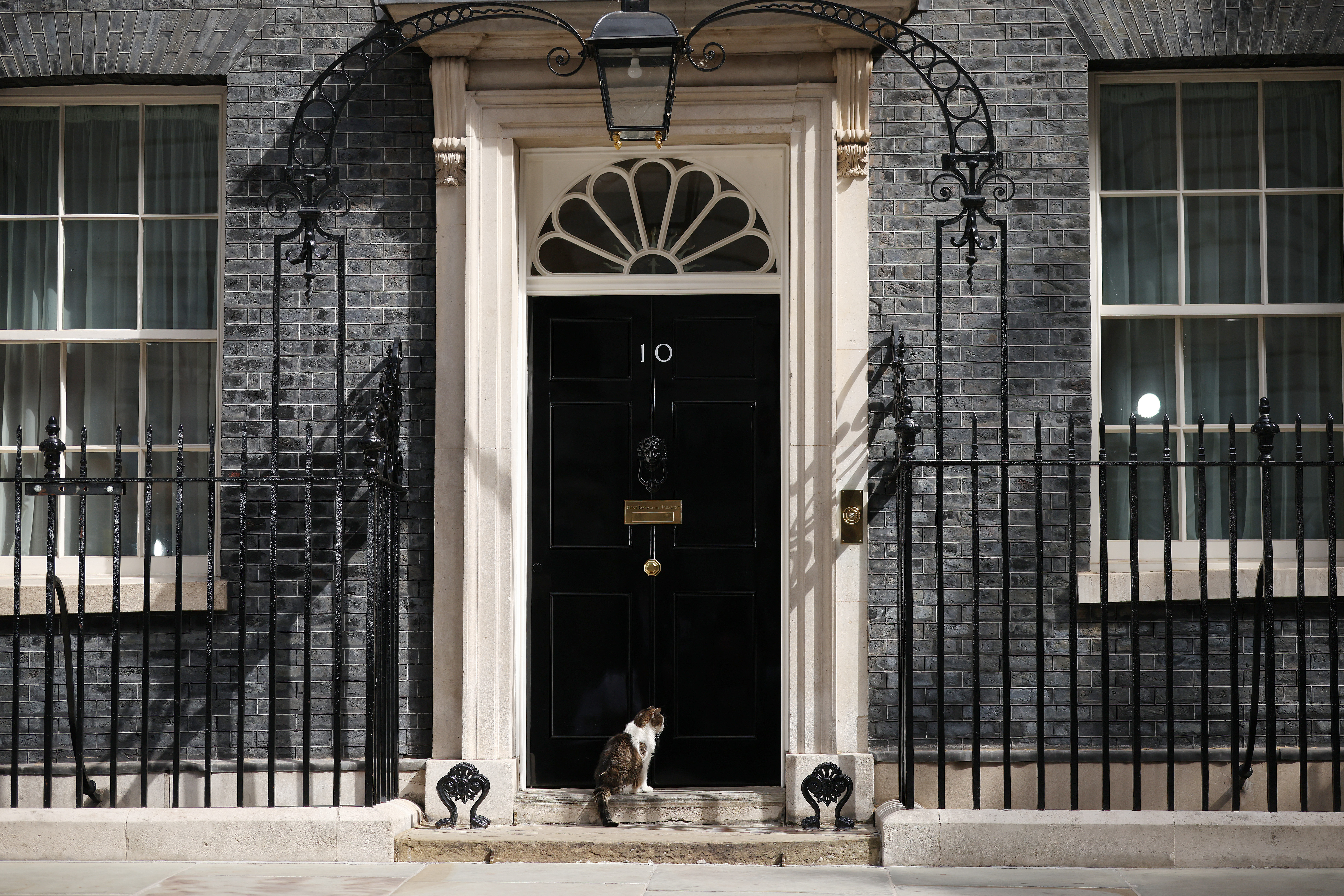„Politicienii vin și pleacă, pisicile rămân”: Motanul Larry a ajuns la al șaptelea premier cu care împarte reședința de la 10 Downing Street