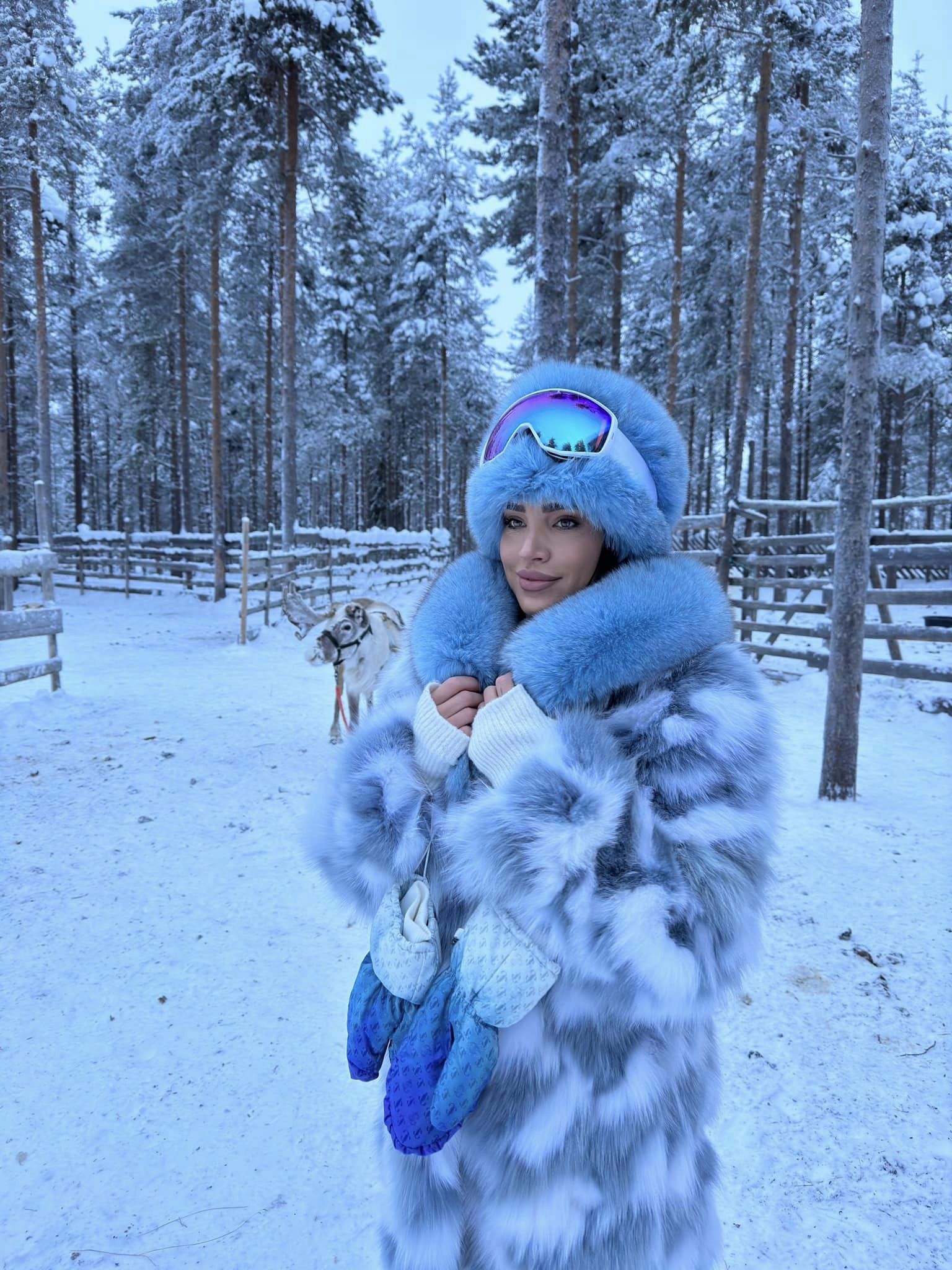 Adelina Pestrițu, atenționată de Răzvan Pascu că a confundat Laponia cu Polul Nord. Ce i-a răspuns: „Și-a dorit să fiu pusă la zid public”