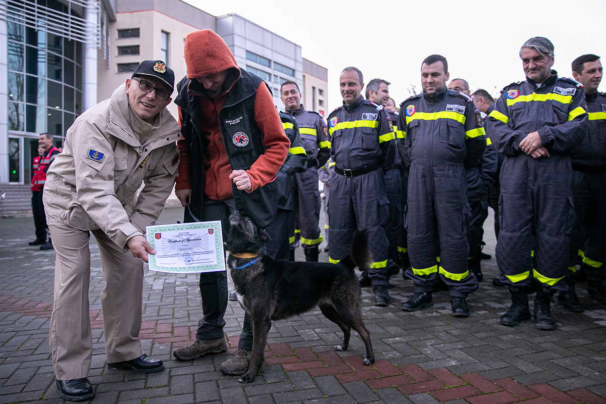 Oameni și câini au muncit împreună în iadul din Albania. Challapa, maidaneza salvată care a devenit salvatoare