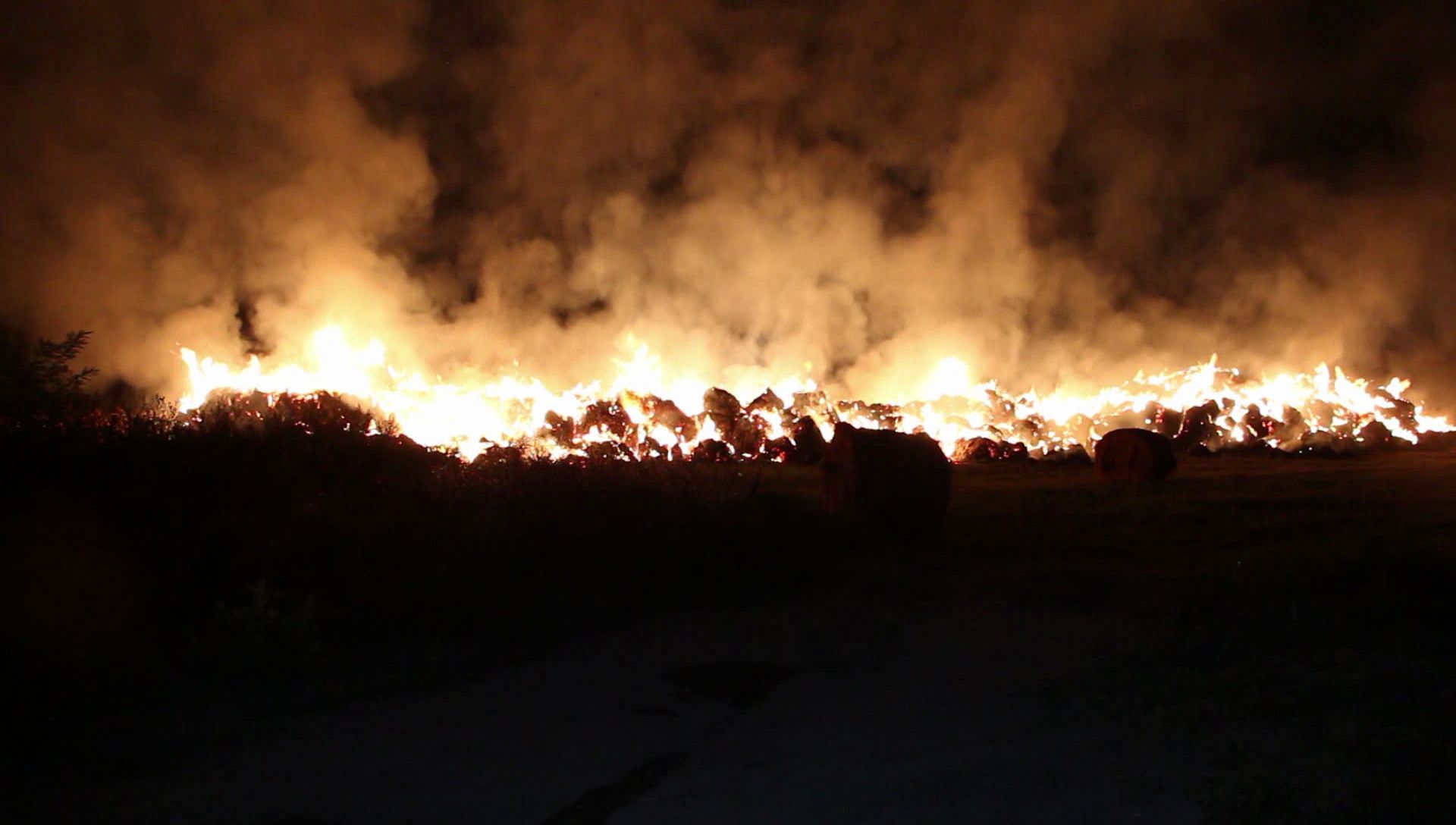Flăcări de 10 metri au mistuit tone de furaje în Buzău! GALERIE FOTO