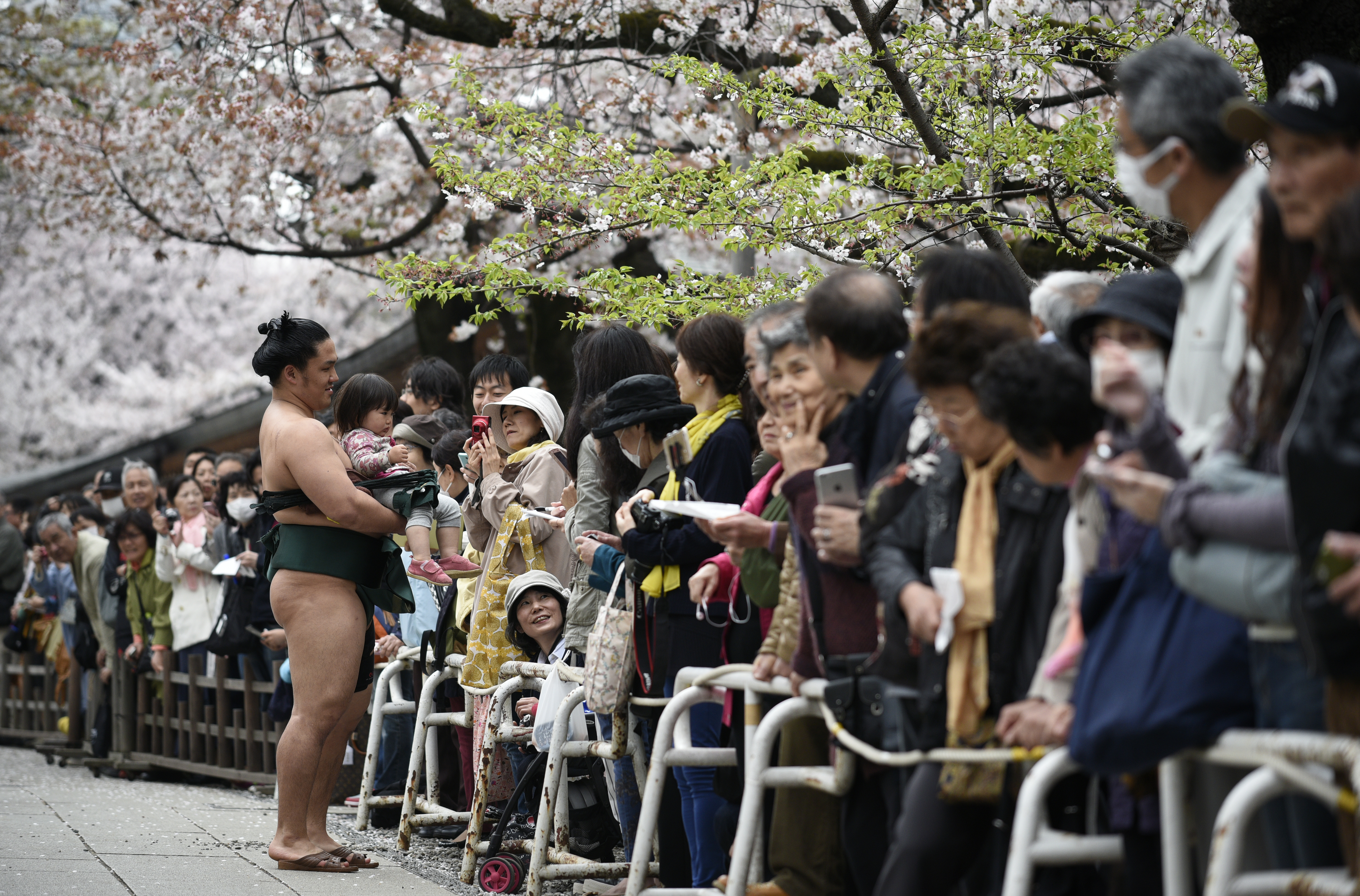 Luptătorii de sumo s-au dat în spectacol gratuit la Tokyo / FOTO