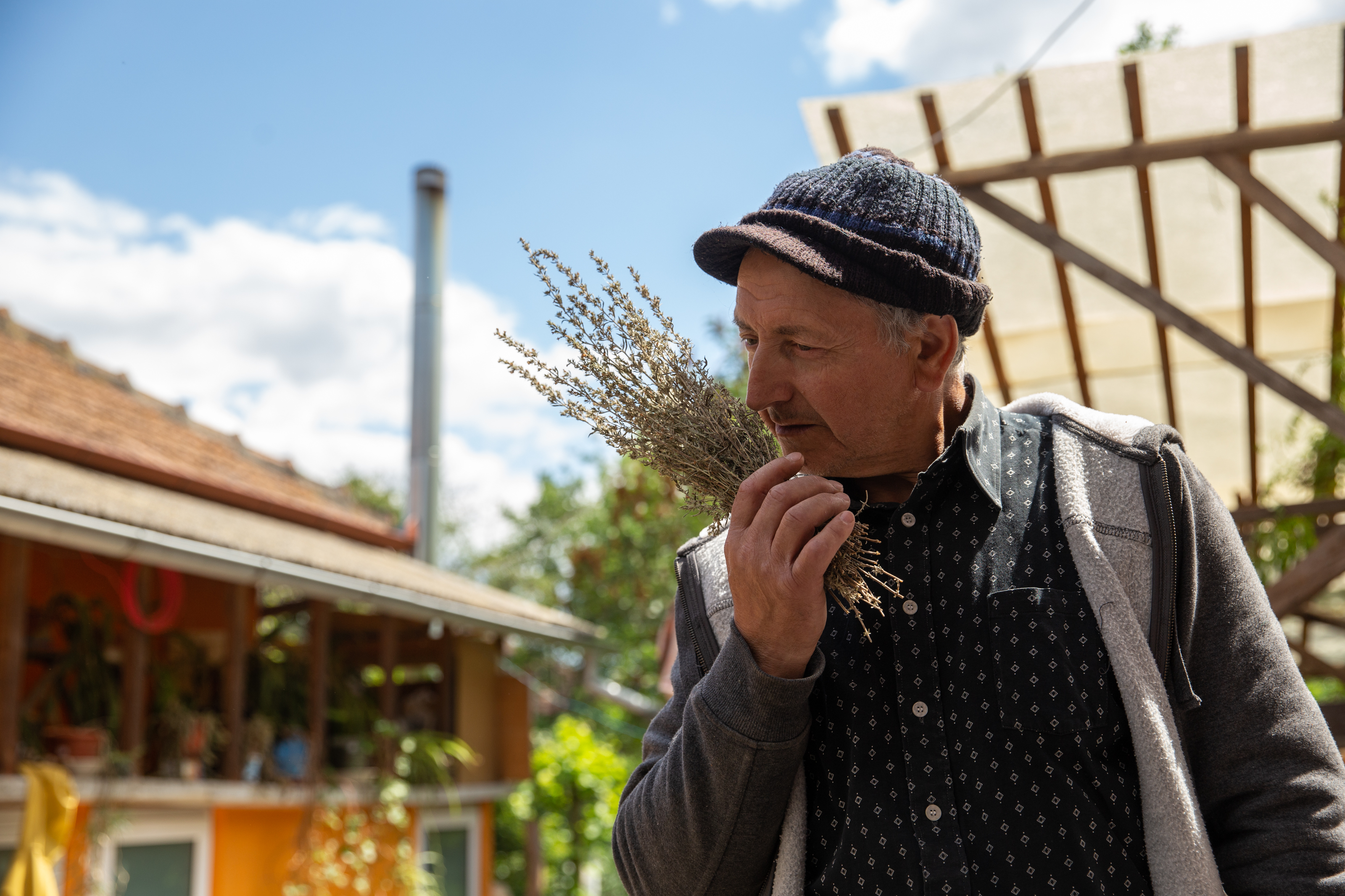 Îmblânzitorul de lavandă și mușețel. Pasionat de plantele medicinale, cercetătorul Nicolai Ungureanu a creat reţete proprii de ceaiuri naturale