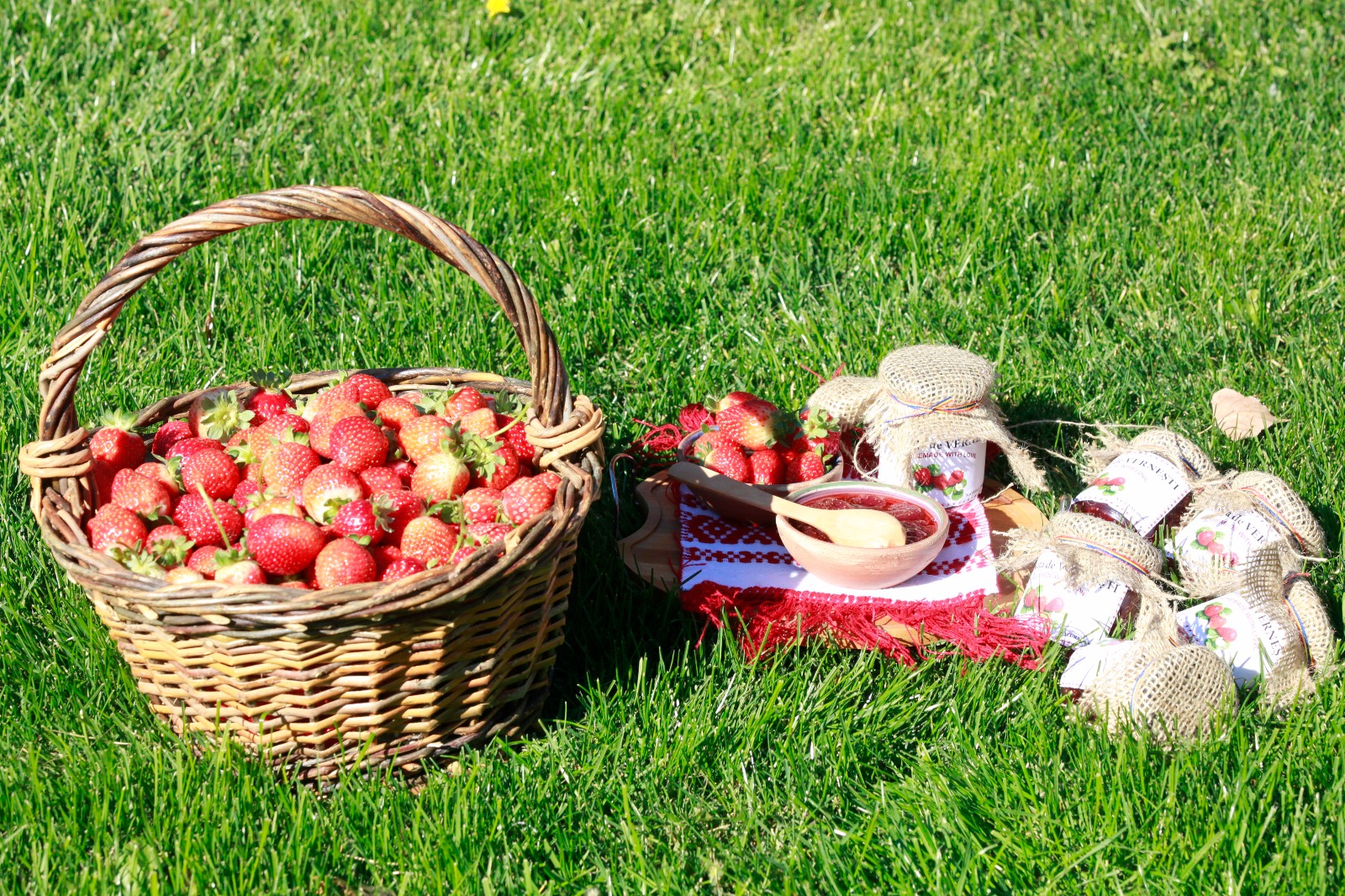 Nouă studenți la Agronomie au făcut dulceață de căpșuni la Vernești trecând prin toate etapele realizării produsului | GALERIE FOTO