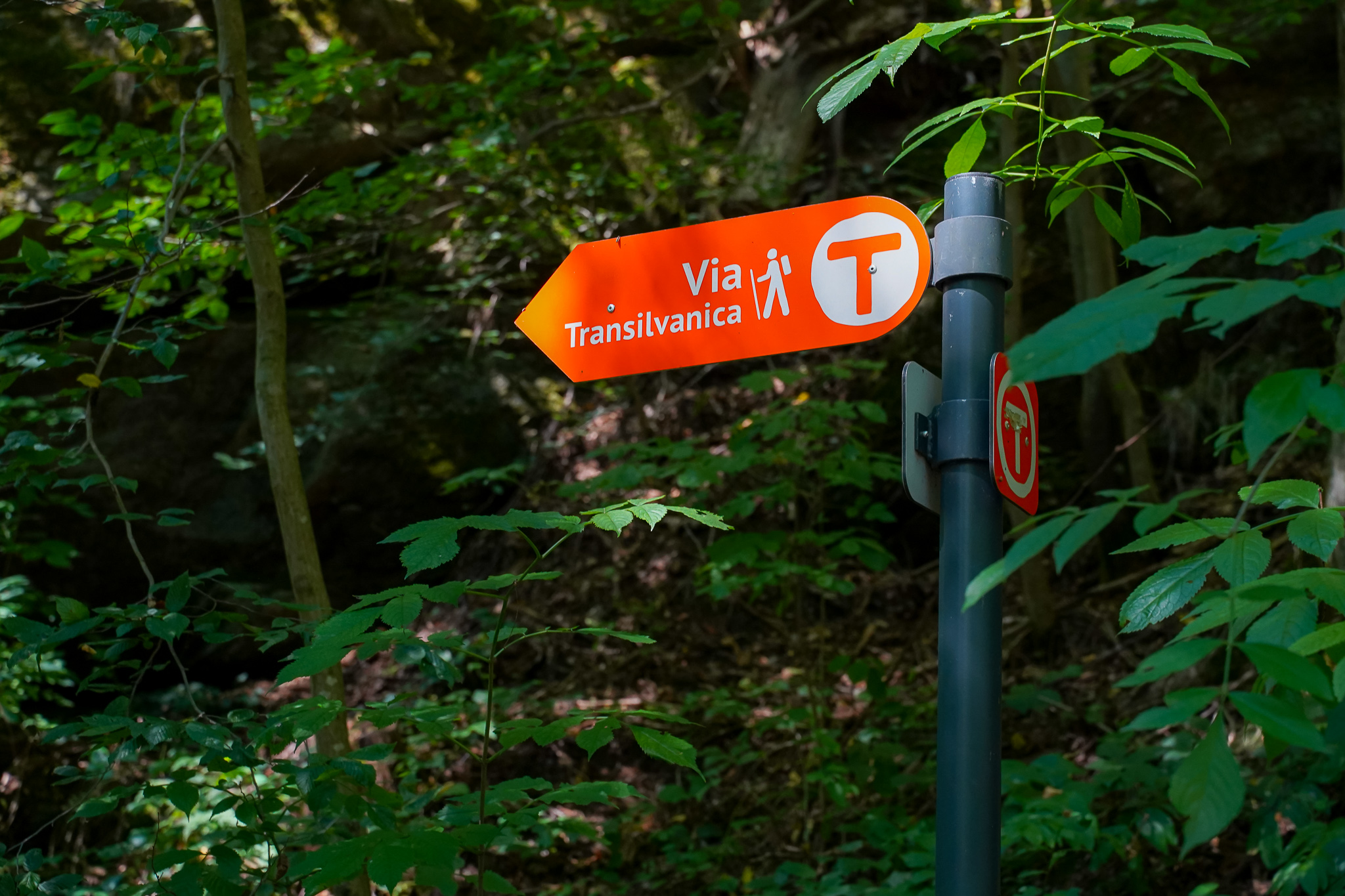 Via Transilvanica poate fi parcursă și virtual. Google a digitalizat 900 din cei 1.400 de kilometri