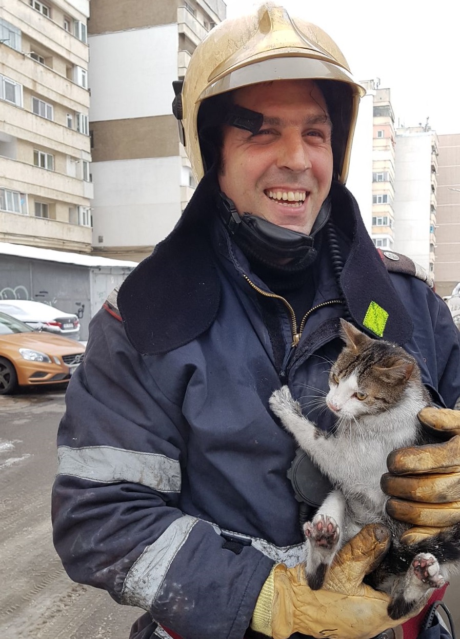 Pui de pisică salvat de pompierii din Bacău dintr-un apartament în flăcări| GALERIE FOTO