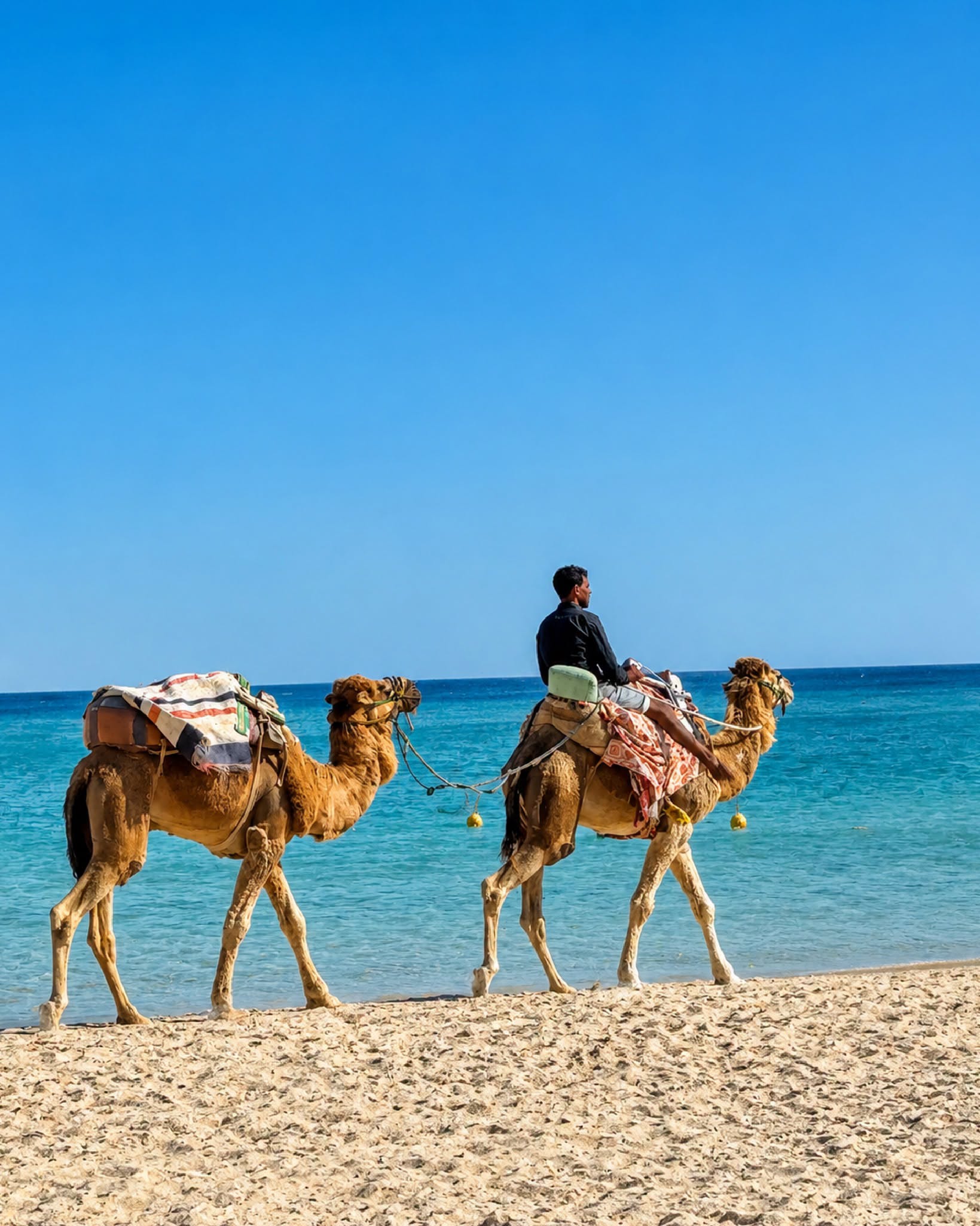 Cum a devenit un oraș-stațiune din Tunisia una dintre destinațiile preferate ale românilor. 40.000 de conaționali și-au petrecut concediile în țara din nordul Africii