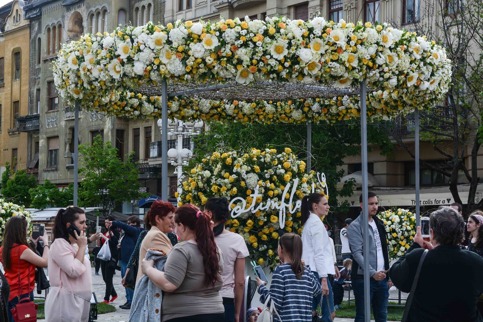 Festivalul florilor umple Timișoara de culoare și miros. În centrul orașului vor defila prințese cu calești (FOTO)