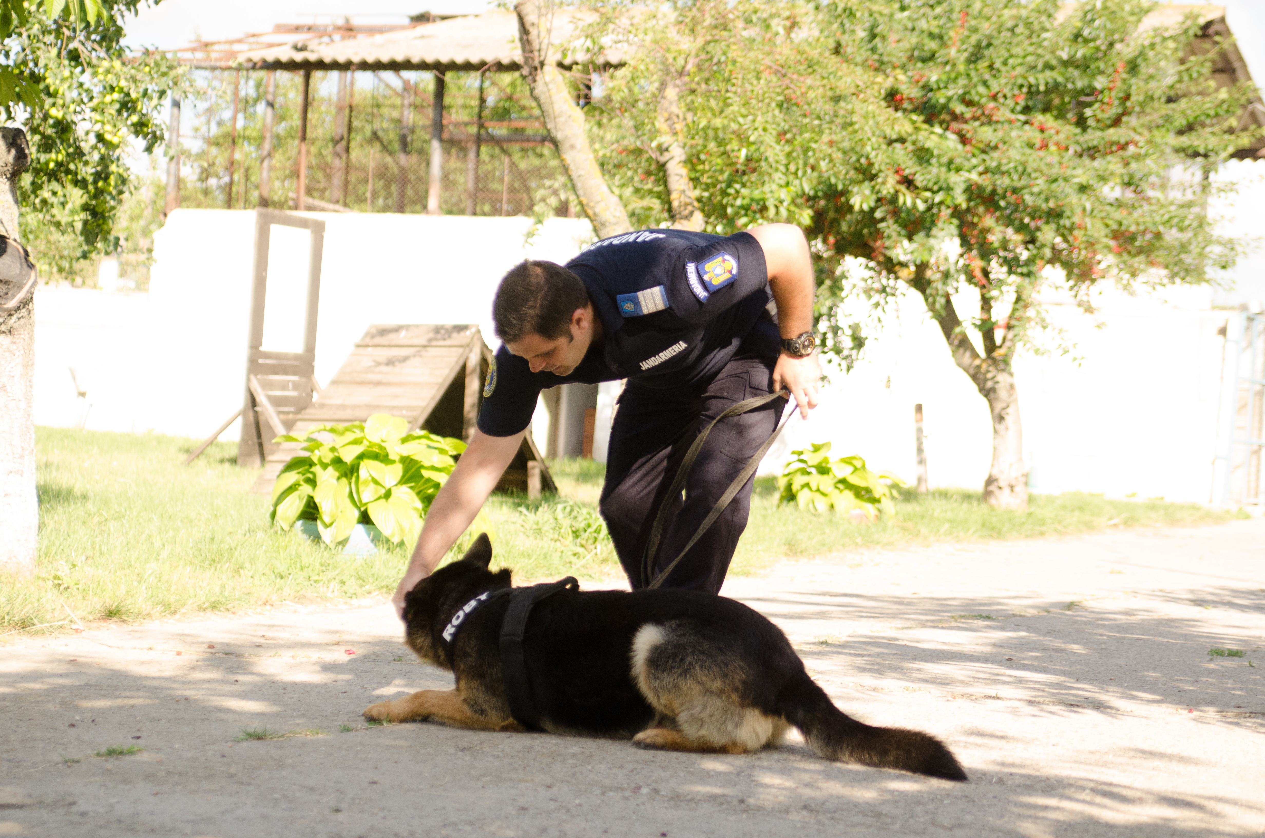 REPORTAJ/ Jandarmul Marius și câinele Mabanu, o prietenie mai presus de meserie. Deși a fost pensionat, ciobănescul german rămane cu plutonierul major/ (Foto&Video)