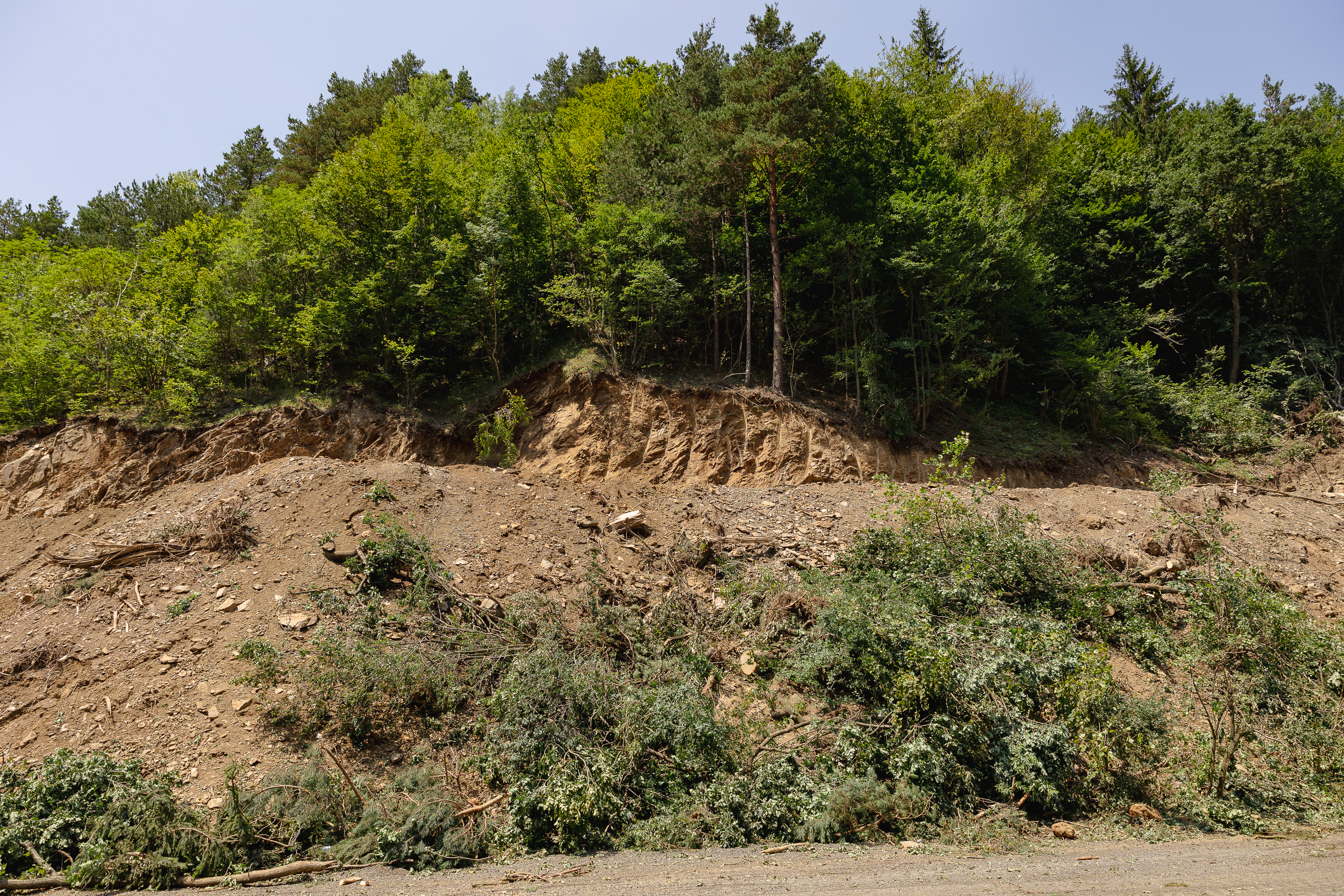 REPORTAJ Valea Oltului - viața după barieră. În lipsa traficului, natura își revine și nu prea, iar ministrul Grindeanu supraveghează cu drona progresul lucrărilor