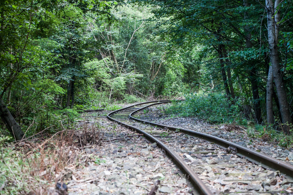 Petrecere în mocăniță! Muzică electronică și cocktail-uri în vagonul de tren