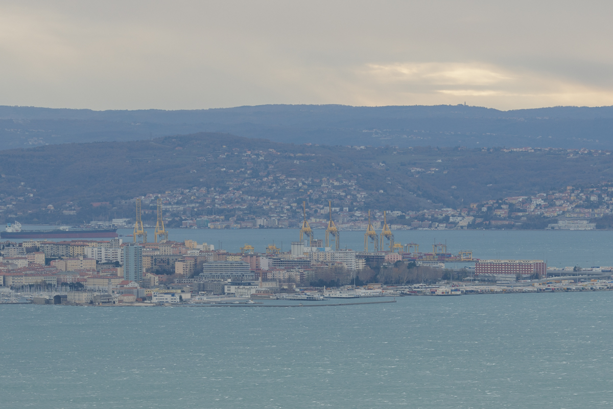 Povestea tinerei care a plecat în Italia la 15 ani din Gherţa Mare şi a ajuns antreprenoare, cu patru localuri şi o firmă de construcţii. „Mă simt liberă, am învățat că poți să începi oricând de la zero”