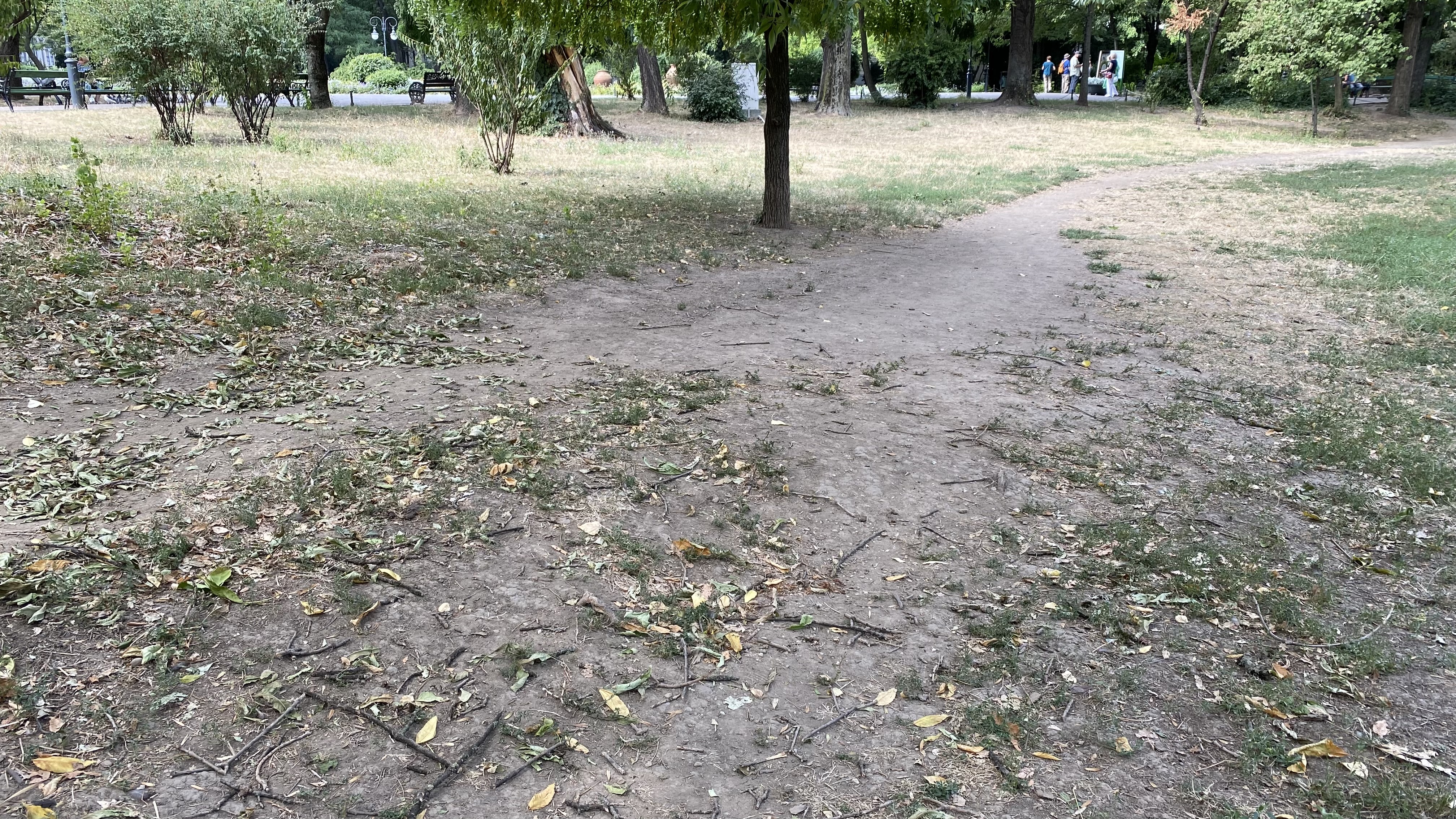 Cișmigiu, mândria tristă a Bucureștiului: pământ în loc de iarbă, alei distruse, garduri rupte și mirosuri insuportabile