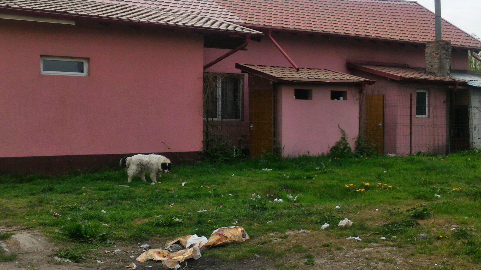 REPORTAJ: Ploiești, un oraș, două lumi total diferite: Viața în lux și viața printre gunoaie în urbea lui Caragiale/ VIDEO&FOTO