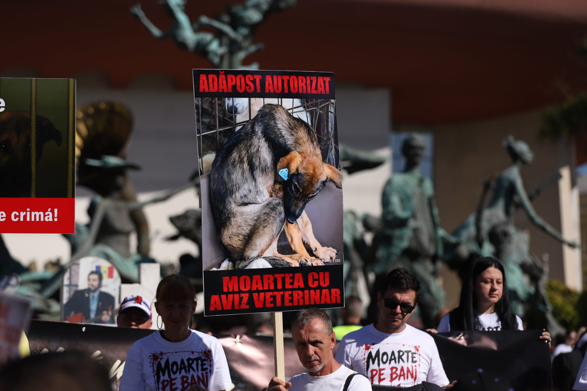 Raluca Bădulescu, prezentă la protestul pentru drepturile animalelor
