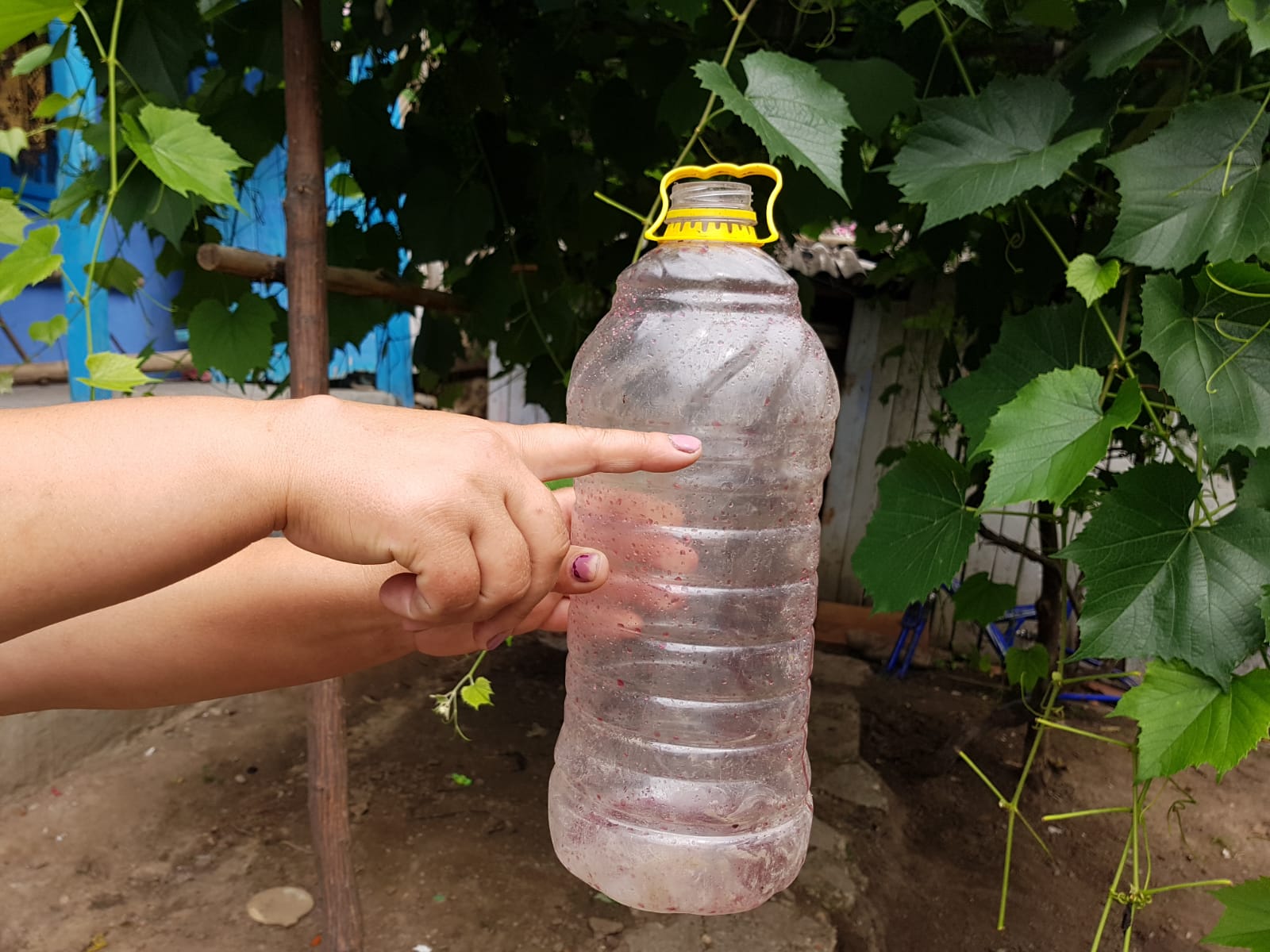 REPORTAJ/Viața de coșmar a fetițelor din Vaslui găsite în comă alcoolică. Mama își bătea copiii și îi încuia în beci, cu șobolanii - FOTO&VIDEO
