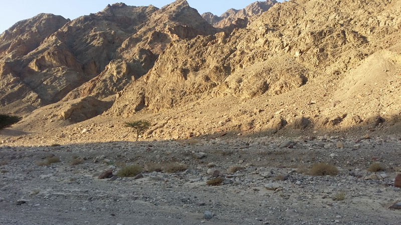 Cum să alergi într-un peisaj selenar? Mergi la maratonul Eilat, în Israel! / FOTO