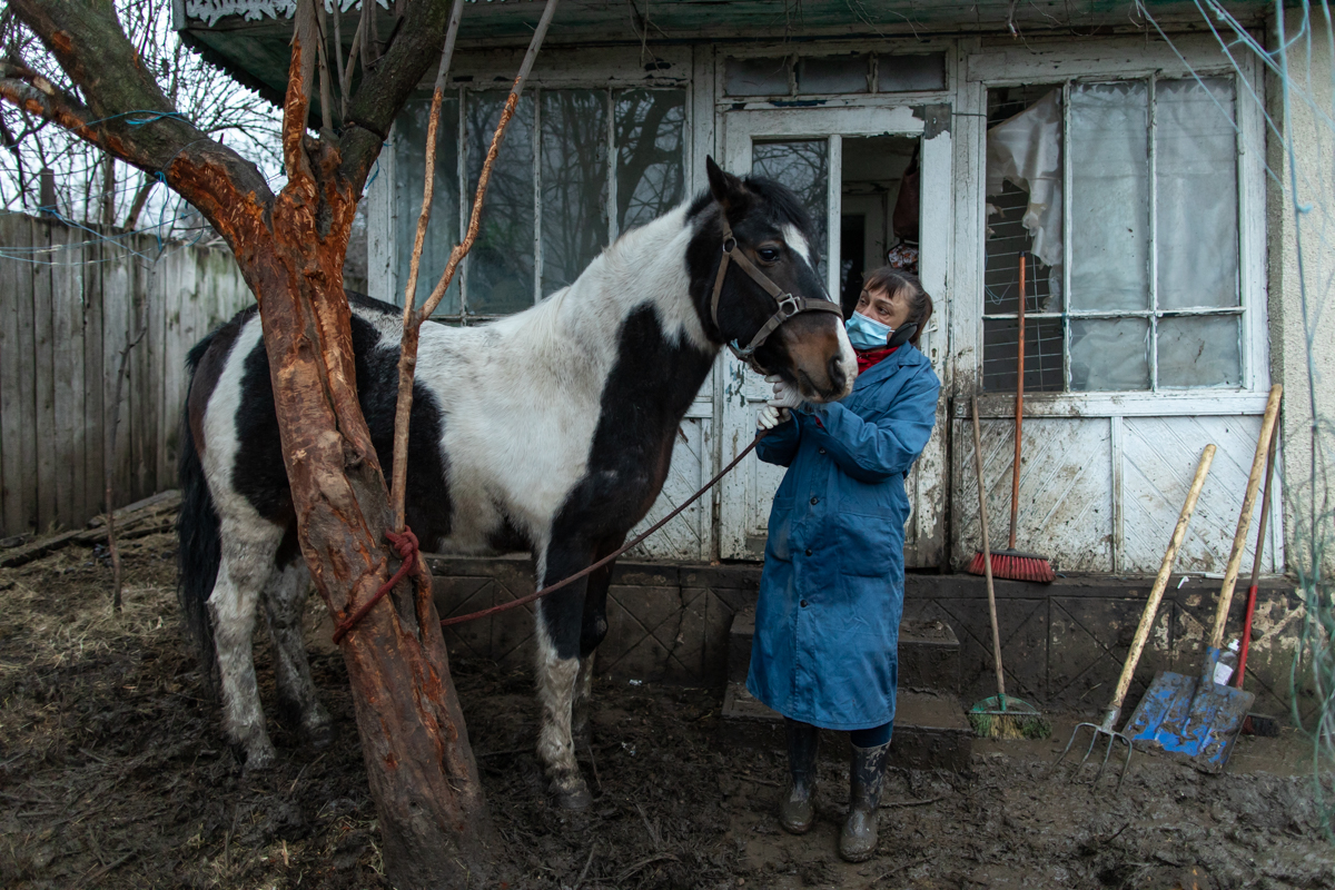 REPORTAJ. În loc de reni, Moș Crăciun a venit anul acesta cu o caravană salvatoare pentru iepe, măgărițe, câini și pisici