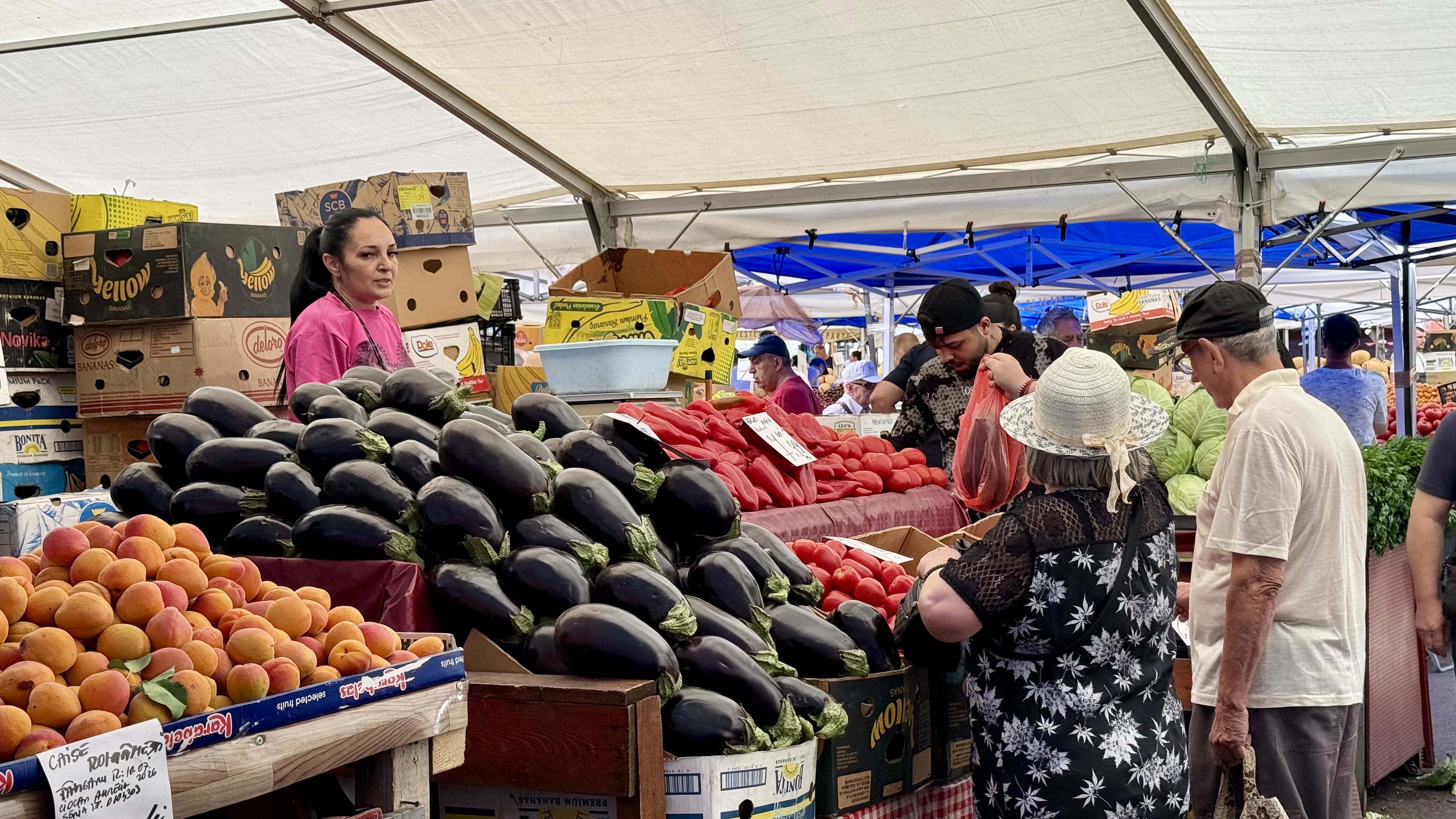 Cât costă kilogramul de vinete în piețe. Românii stau la cozi pentru salata preferată a verii