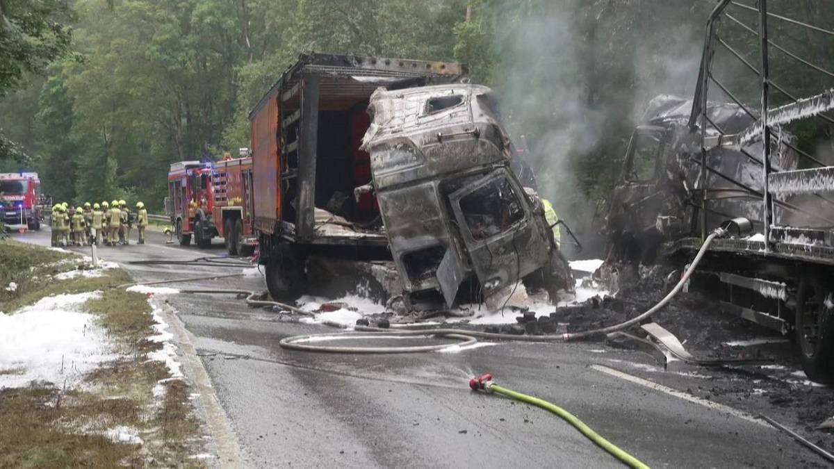 Doi șoferi au murit carbonizați în camioanele care s-au ciocnit frontal și au luat foc, pe o șosea din Germania. VIDEO