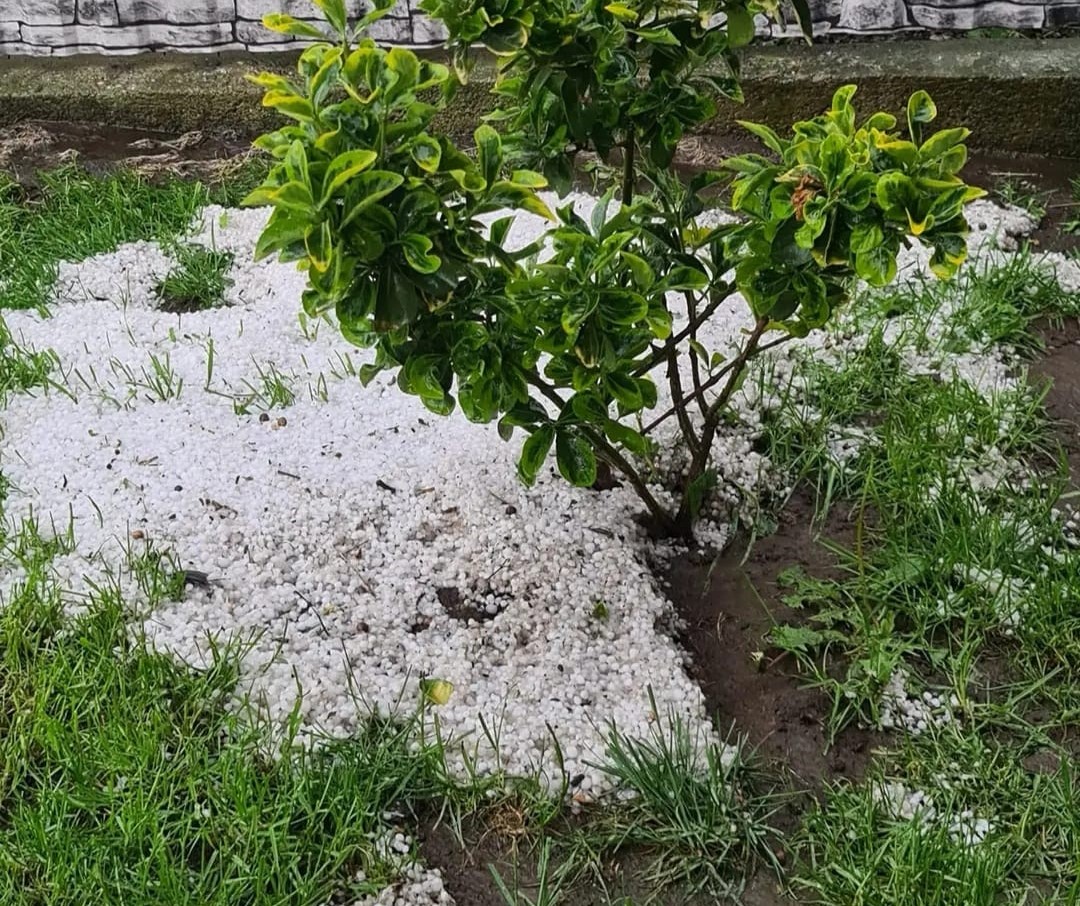 Vijelii și grindină în mai multe zone din țară, unde au fost alerte meteo. Cum va fi vremea în zilele următoare