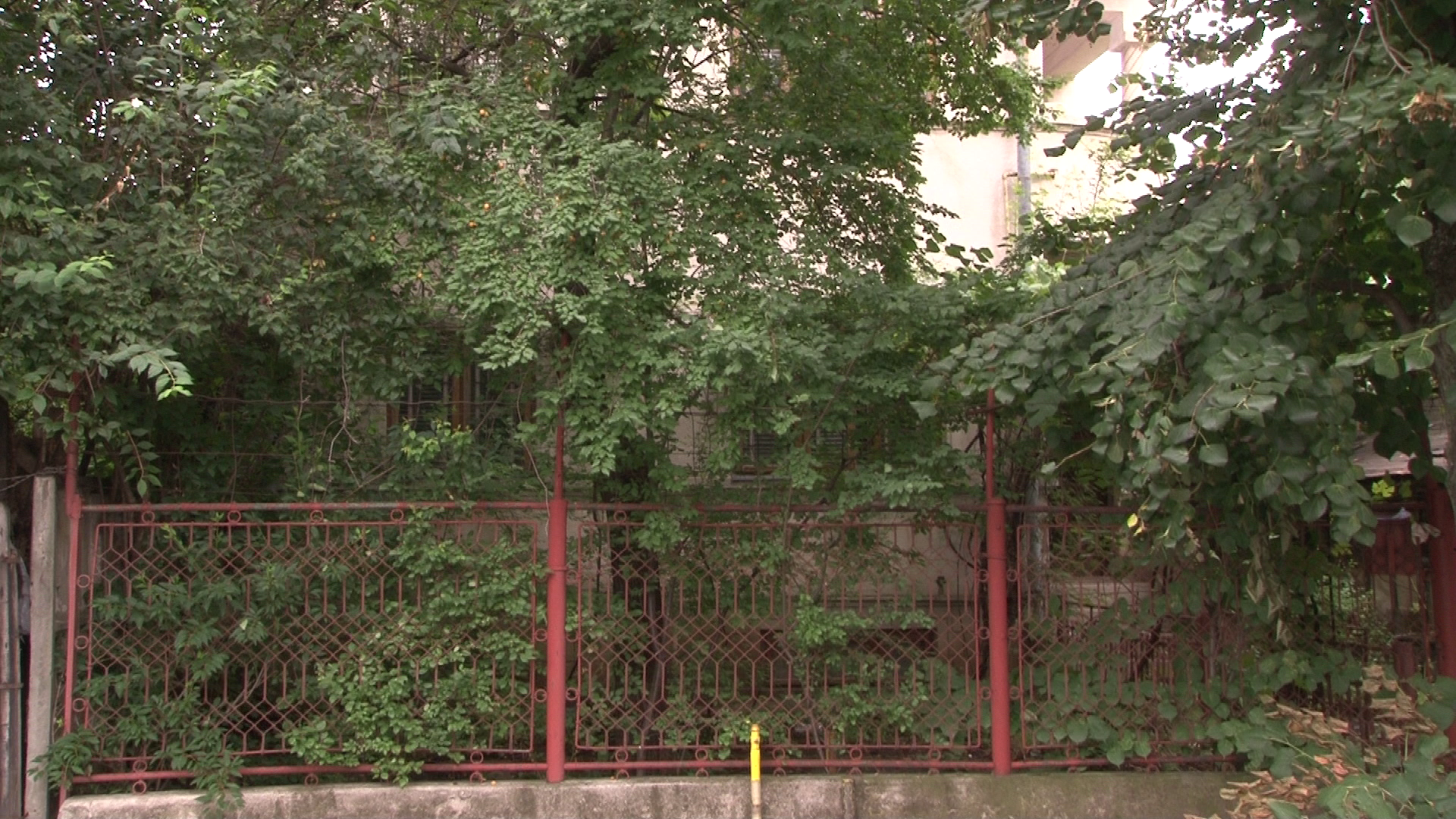 FOTO/ Un hoţ care a vrut să fure dintr-o casă din Ploiești a dat peste cadavrul unei femei moarte de un an. Lângă ea era cadavrul câinelui care o păzise