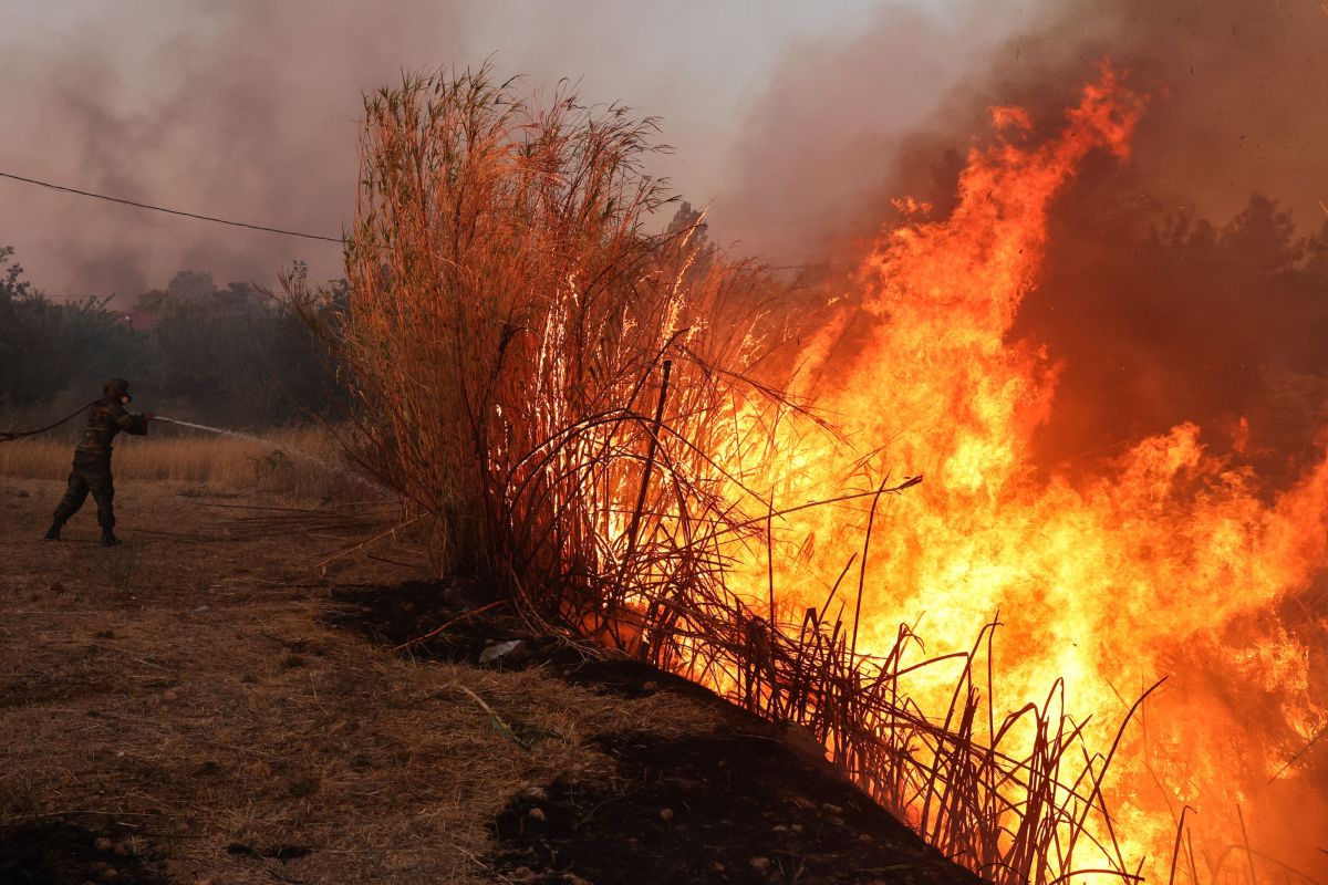 Incendii de vegetație în Grecia. O persoană, găsită decedată într-un magazin distrus de flăcări, la periferia Atenei