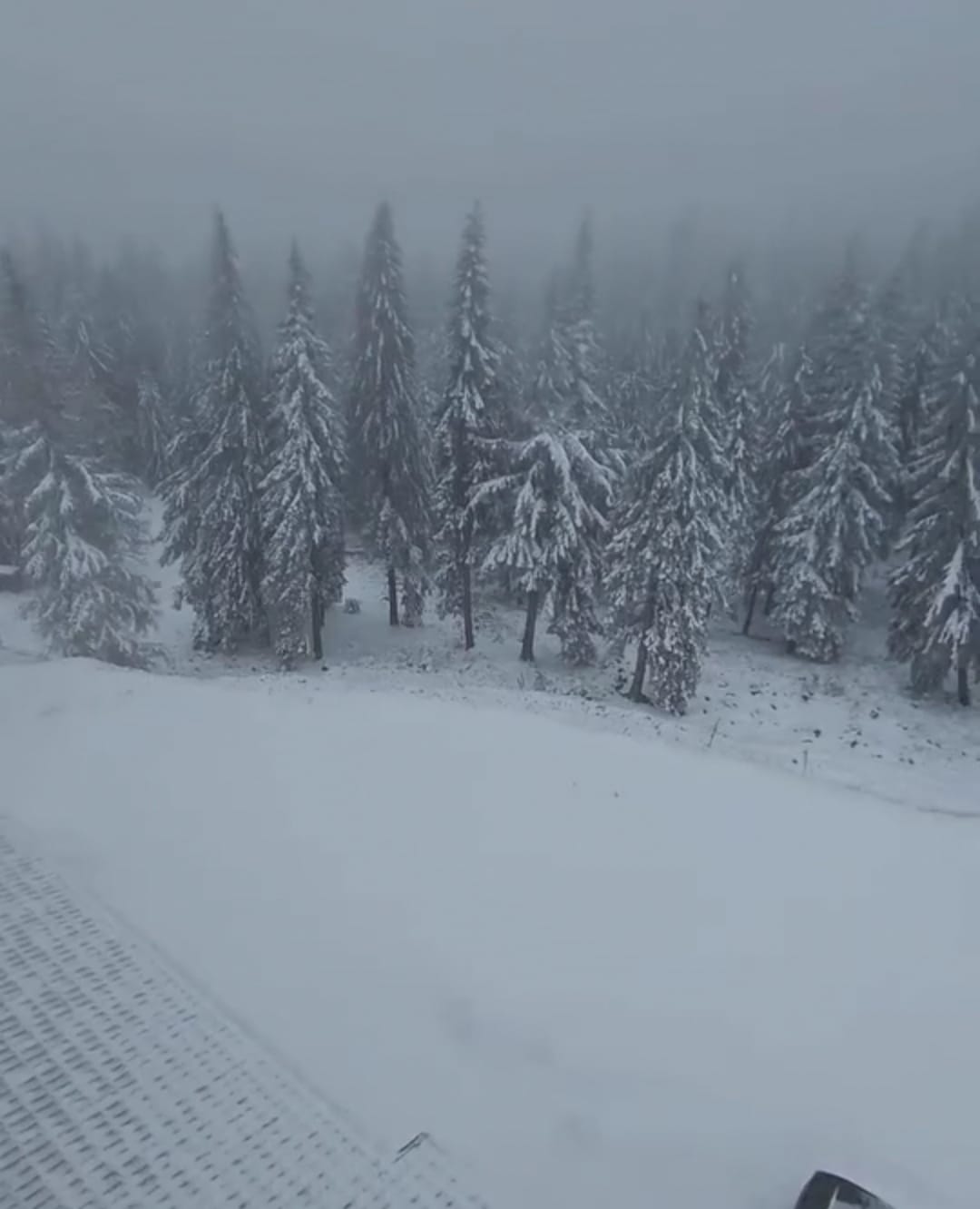 A nins pe Transalpina. Drumarii intervin cu utilaje şi dau cu material antiderapant | VIDEO