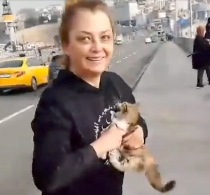 „L-am botezat «Miracol»”. O femeie a oprit traficul pe aglomeratul pod Atatürk din Istanbul și a salvat un pisoi blocat între benzi | VIDEO