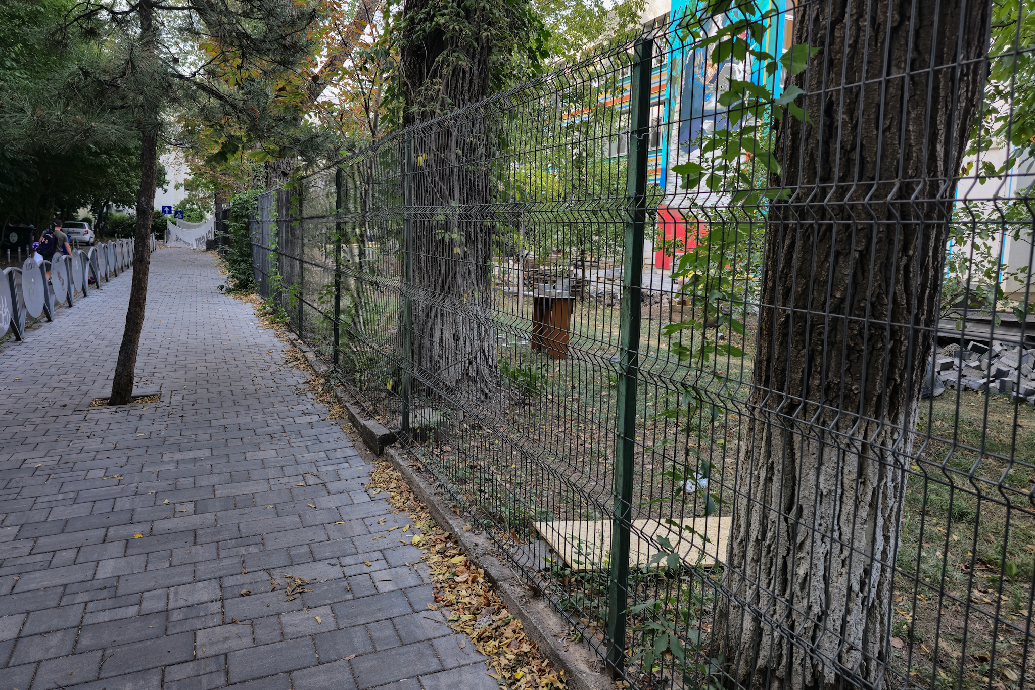Au băgat excavatorul ca să facă șanțuri pentru gardul unei școli din București și au rupt rădăcinile a zeci de copaci