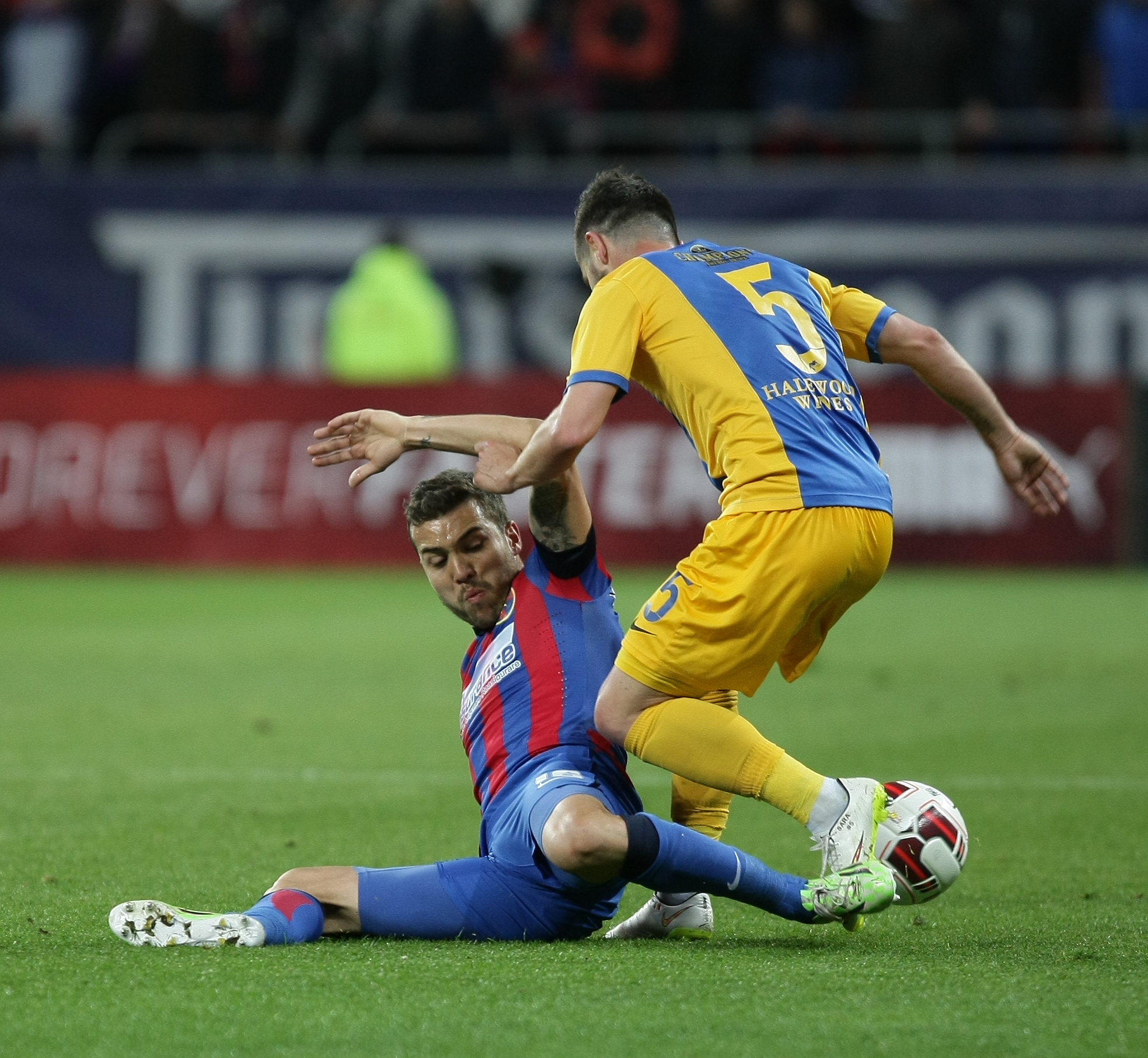 STEAUA - PETROLUL 3-1 (în tur, 1-1). ”Lupii” au fost mielușei / VIDEO