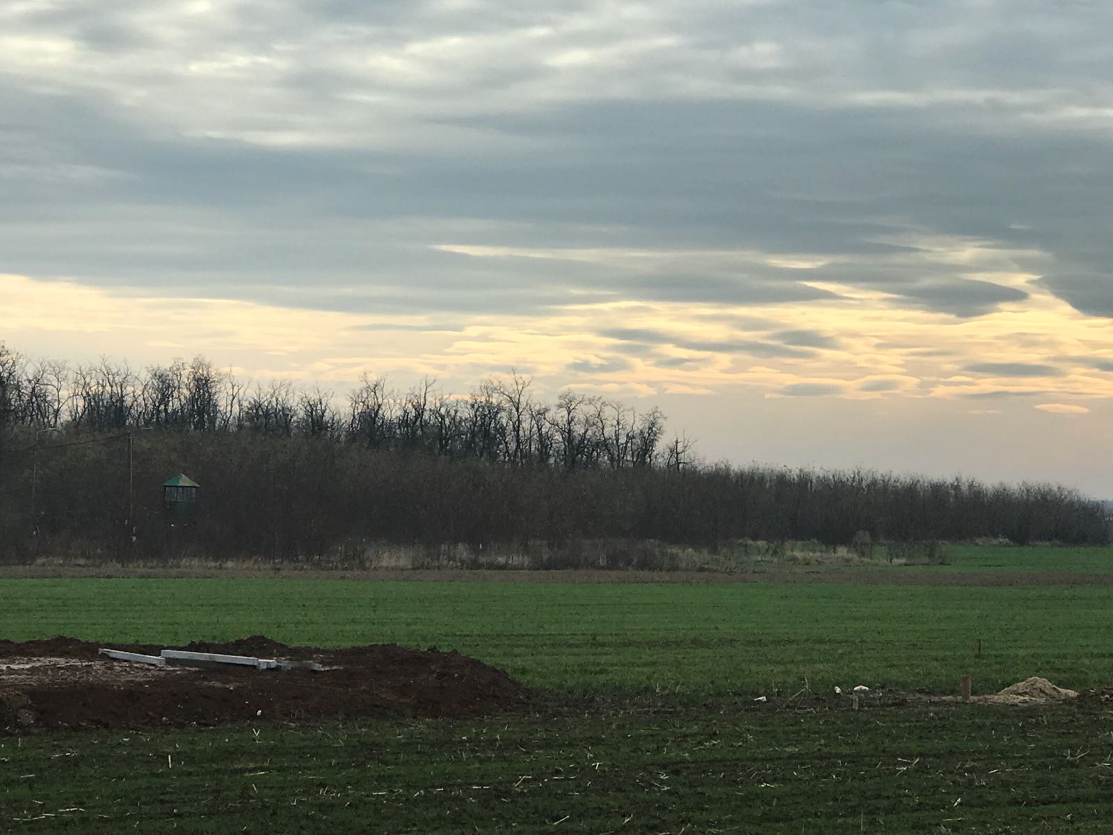 Proiect Science Park pe 5 hectare, lângă București. Locul unde cercetătorii vor să afle totul despre cancer