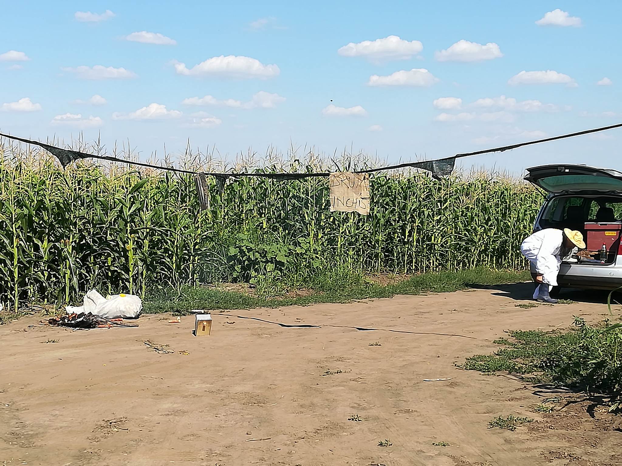 UPDATE: Celulă de criză în localitatea din Iași unde un bărbat a murit înțepat de albine
