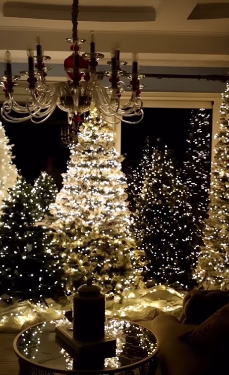 Imagini din sufrageria Annei Lesko, decorată de Crăciun. Are cinci brazi în living, pe care nu i-a împodobit cu globuri