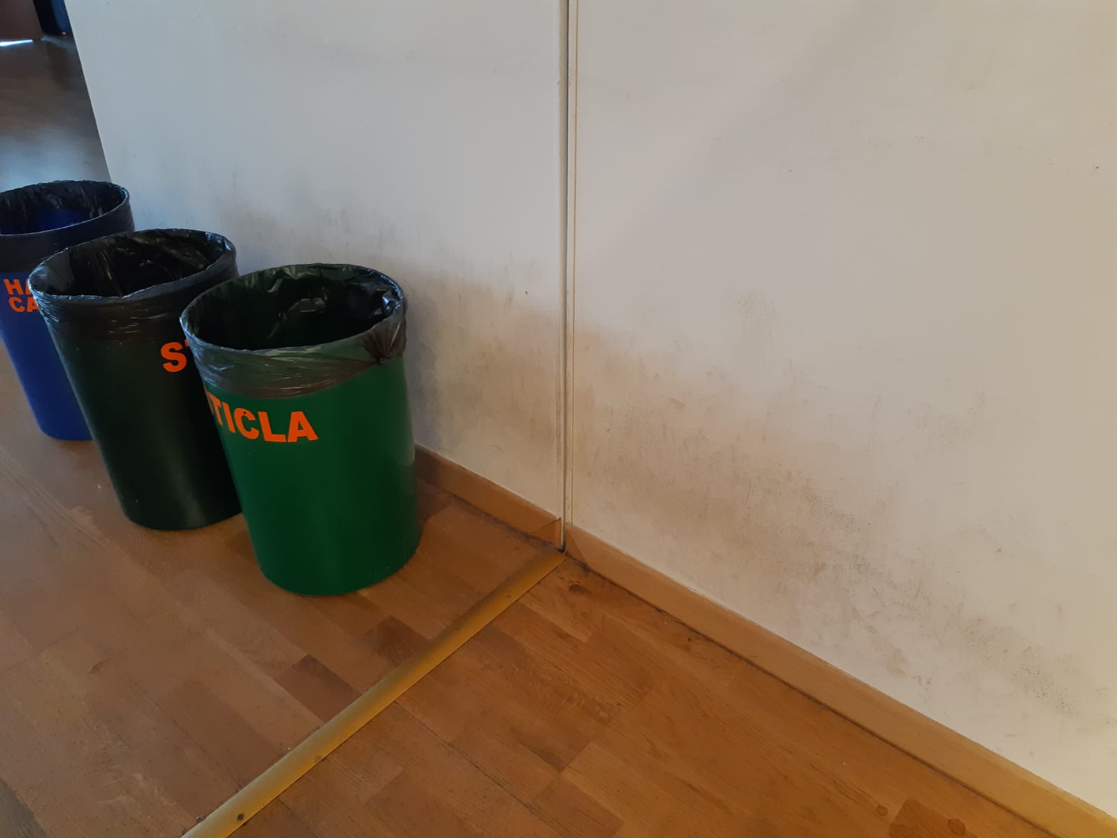 Imagini cu mizeria din Biblioteca Națională: pereți mânjiți, praf, parchet rupt. Directorul Cioroianu spune că „nu are bani” și îi ceartă pe cititori