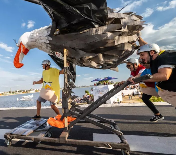 38 de piloți trăsniți au sfidat gravitația la Red Bull Flugtag cu mașinăriile lor zburătoare. Echipa Pegasus 27 a câștigat competiția