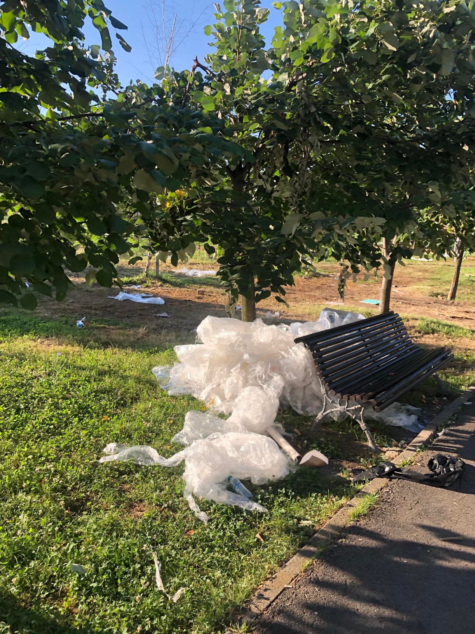 Concesionarea Parcului Izvor, între „festivalizarea orașului” și „nu-l distrugem, îl facem mai frumos”