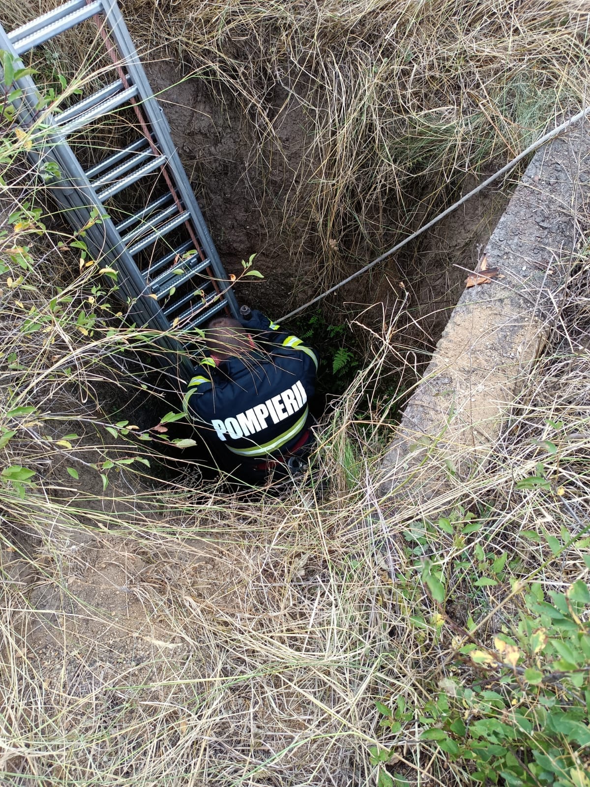 Misiune de salvare a unei vulpi care a căzut într-o fântână, în Orăştie. Şase pompieri s-au mobilizat