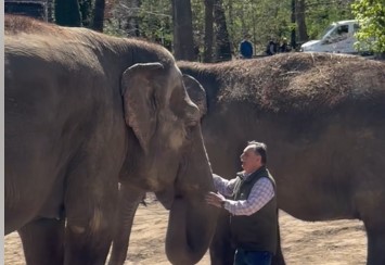 Teadta voksát a tiszás Gajdos László: így búcsúzott a Nyíregyházi Állatpark elefántjaitól - videó